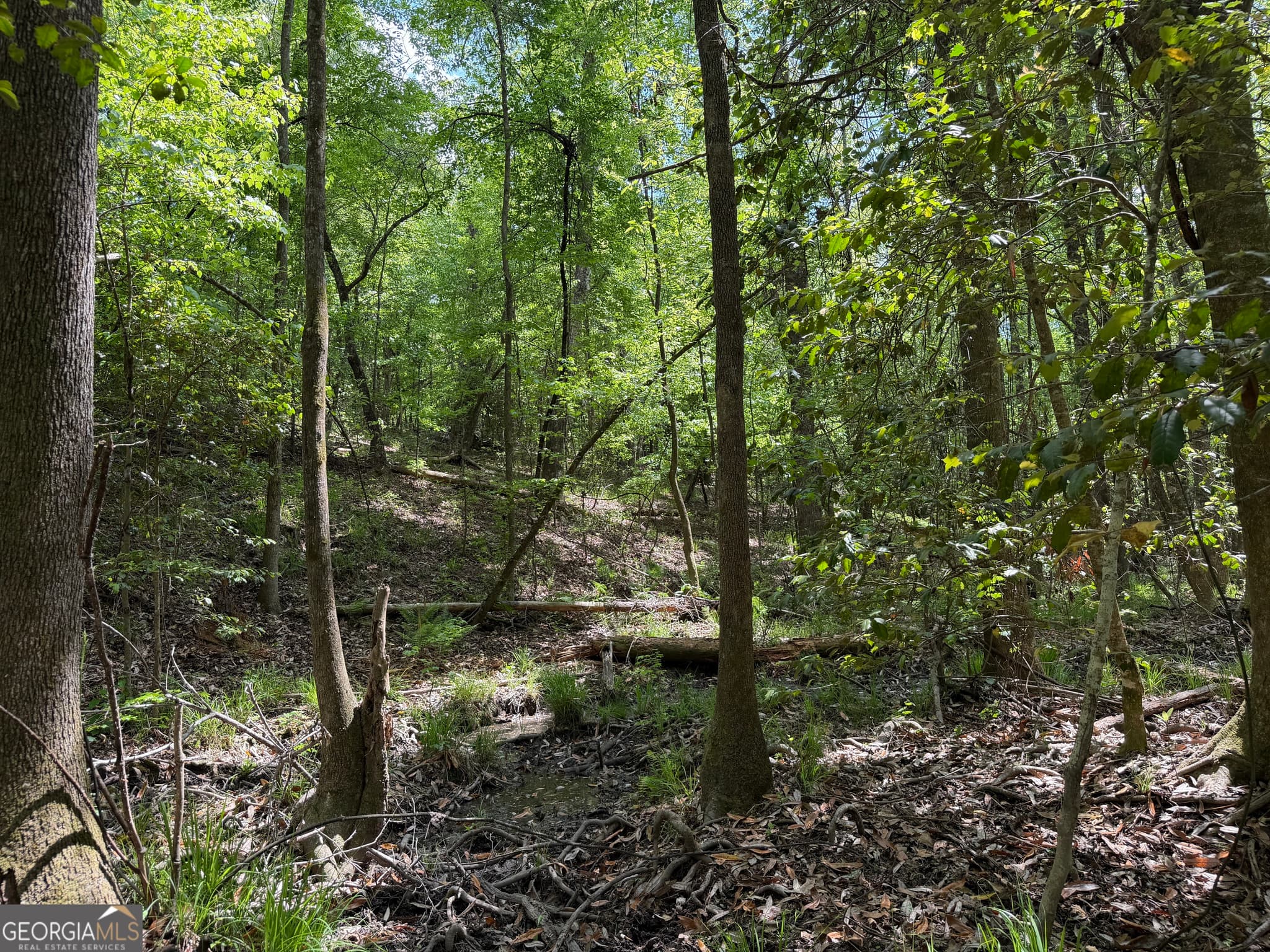 agriculture for sale at 005 George Milling Road, Cuthbert, GA 39840 — photo 6
