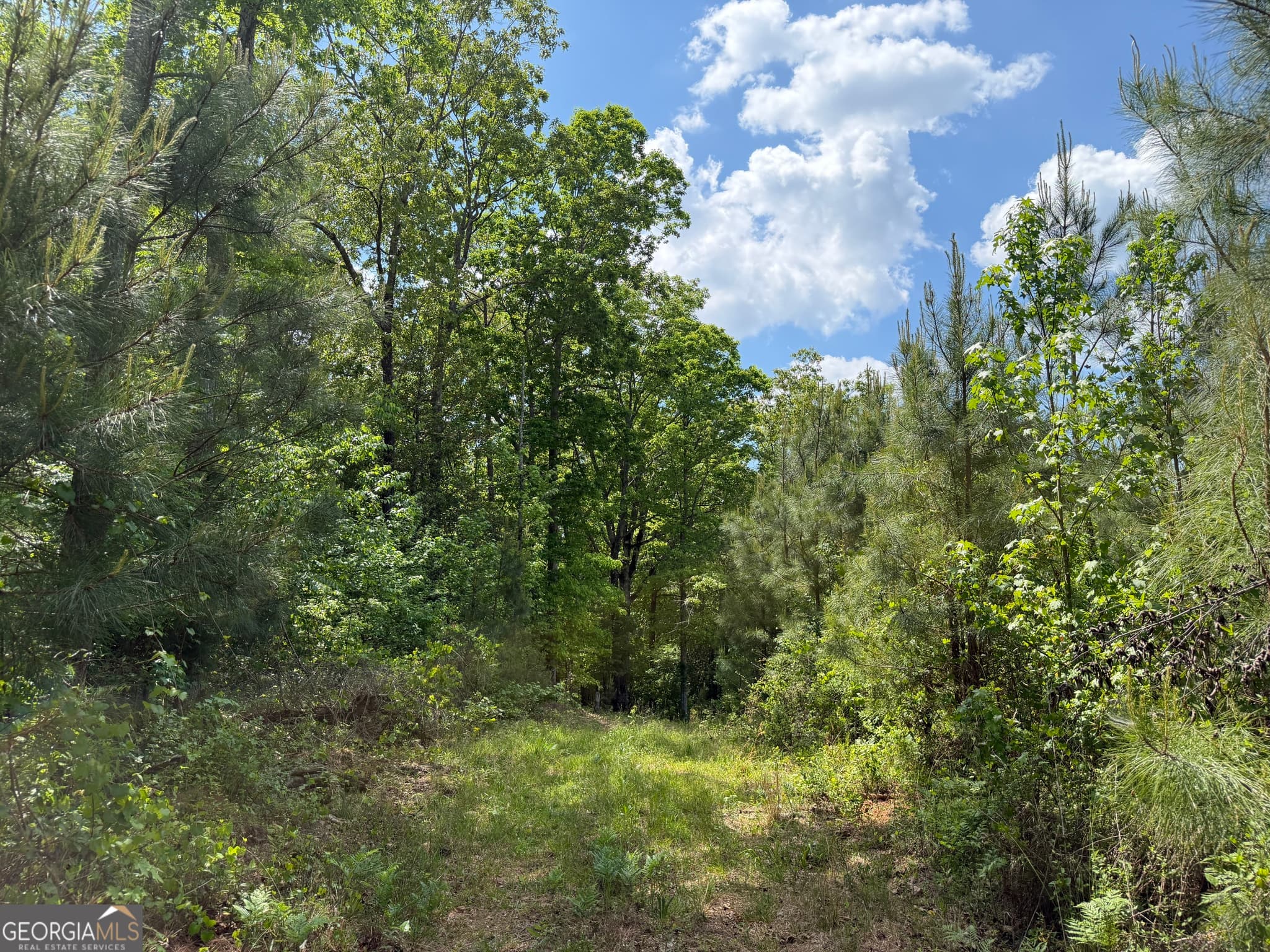 agriculture for sale at 005 George Milling Road, Cuthbert, GA 39840