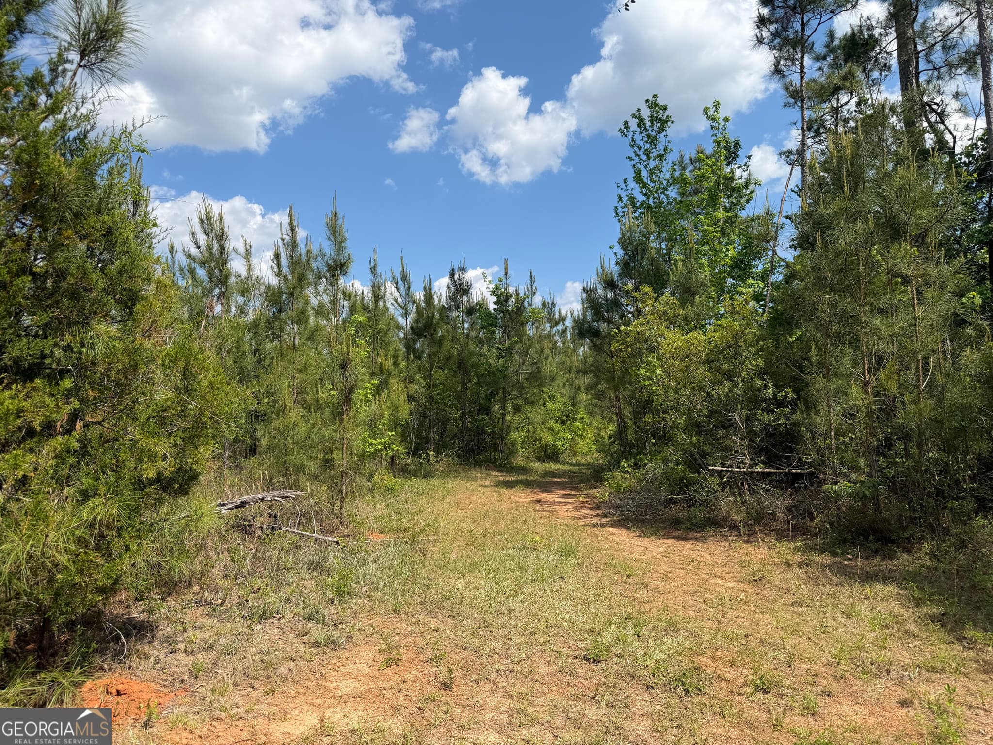 agriculture for sale at 005 George Milling Road, Cuthbert, GA 39840 — photo 10