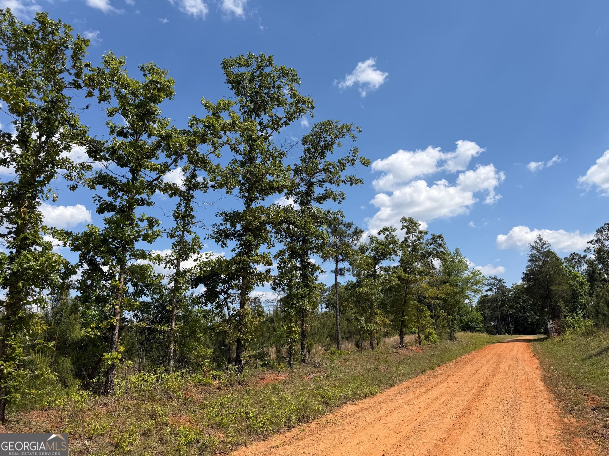 agriculture for sale at 005 George Milling Road, Cuthbert, GA 39840 — photo 8