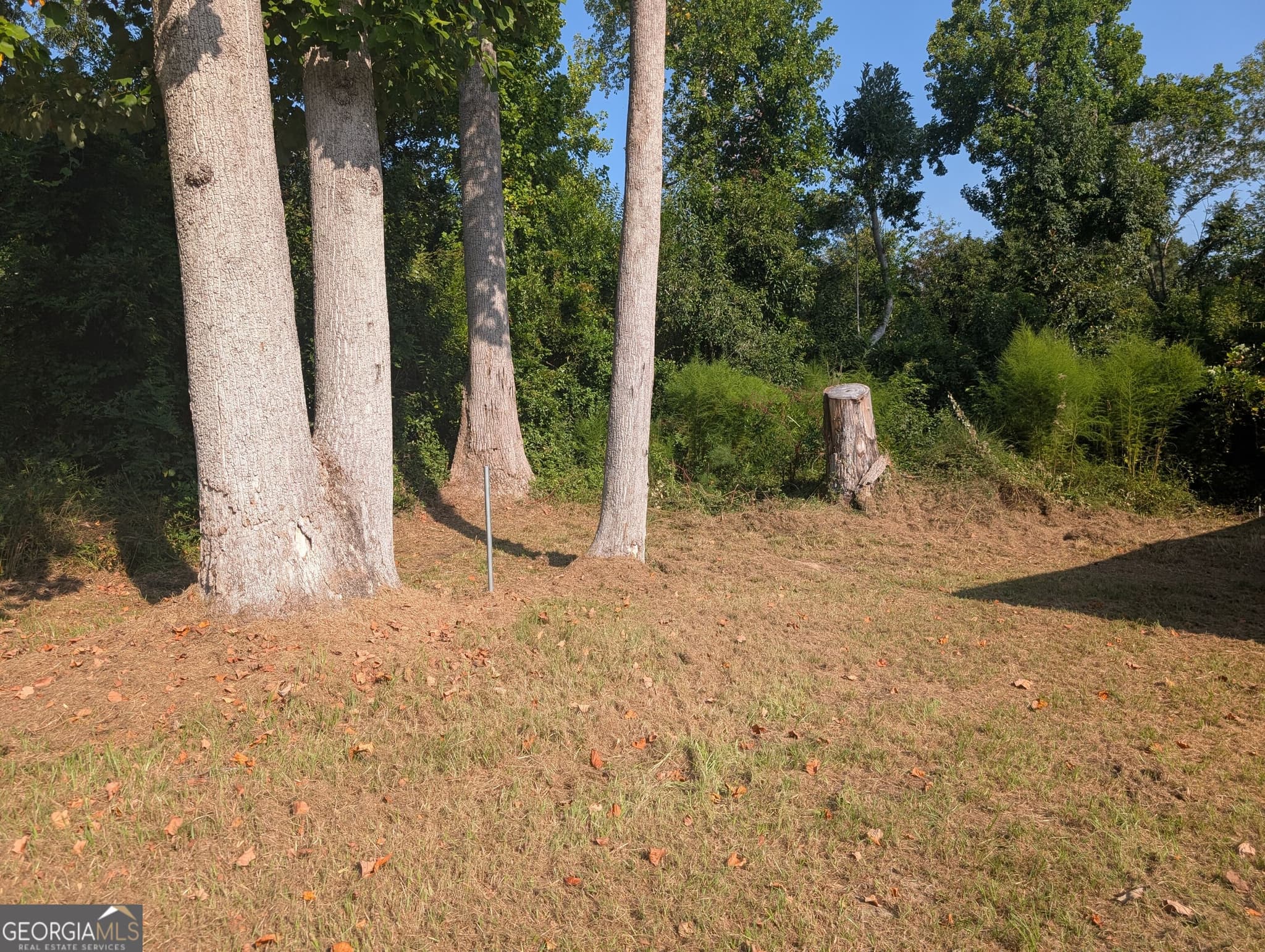 2 bedroom, 1 bathroom, 974 sq ft single family residence for sale at 646 N Main Street, Swainsboro, GA 30401 — photo 3