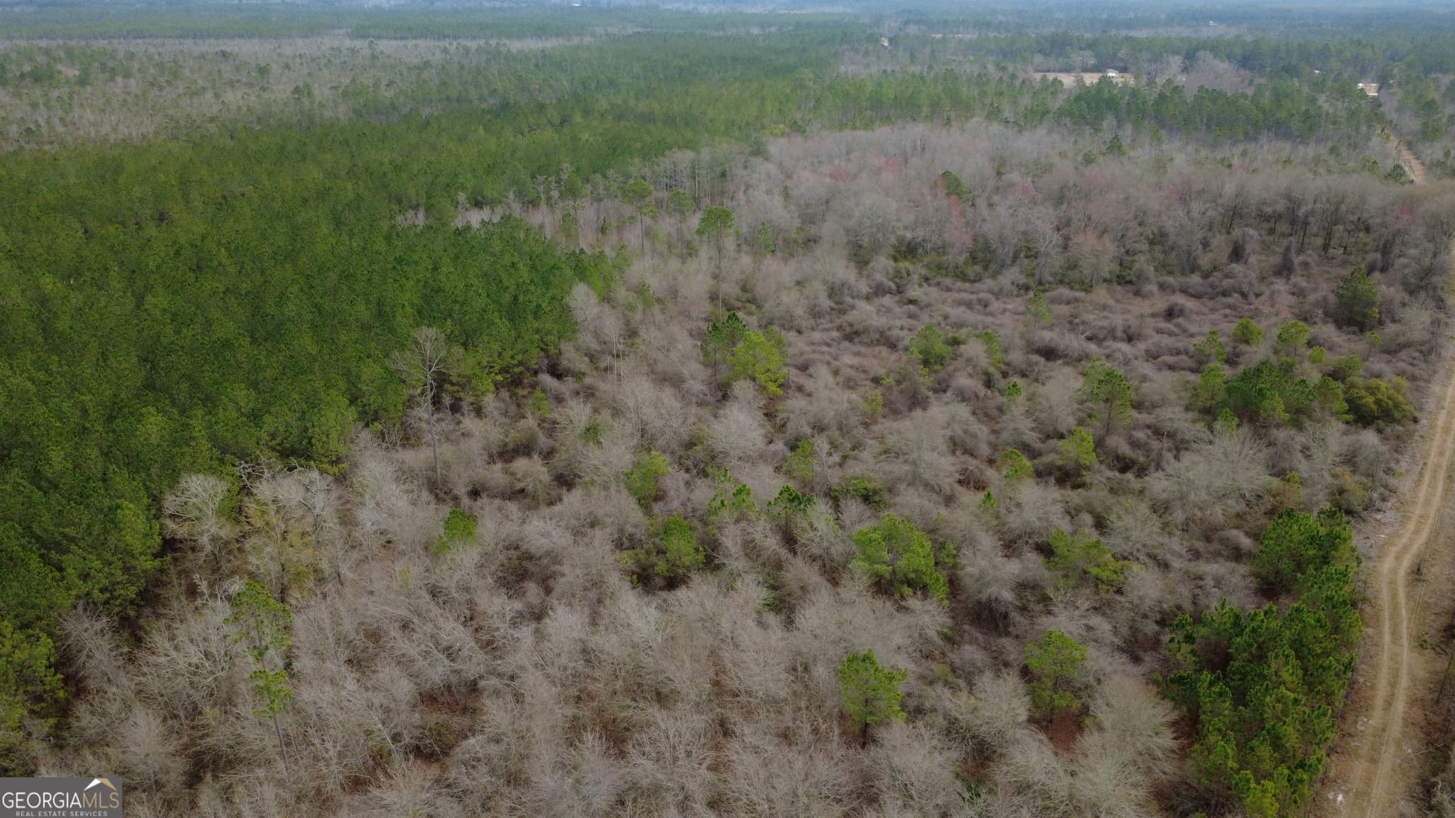 agriculture for sale at 0 Whitaker, Waycross, GA 31503 — photo 2