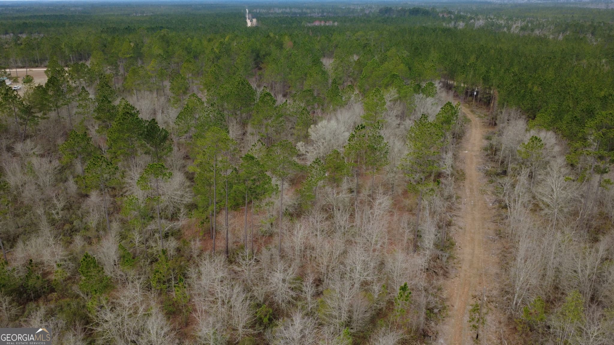 agriculture for sale at 0 Whitaker, Waycross, GA 31503 — photo 6