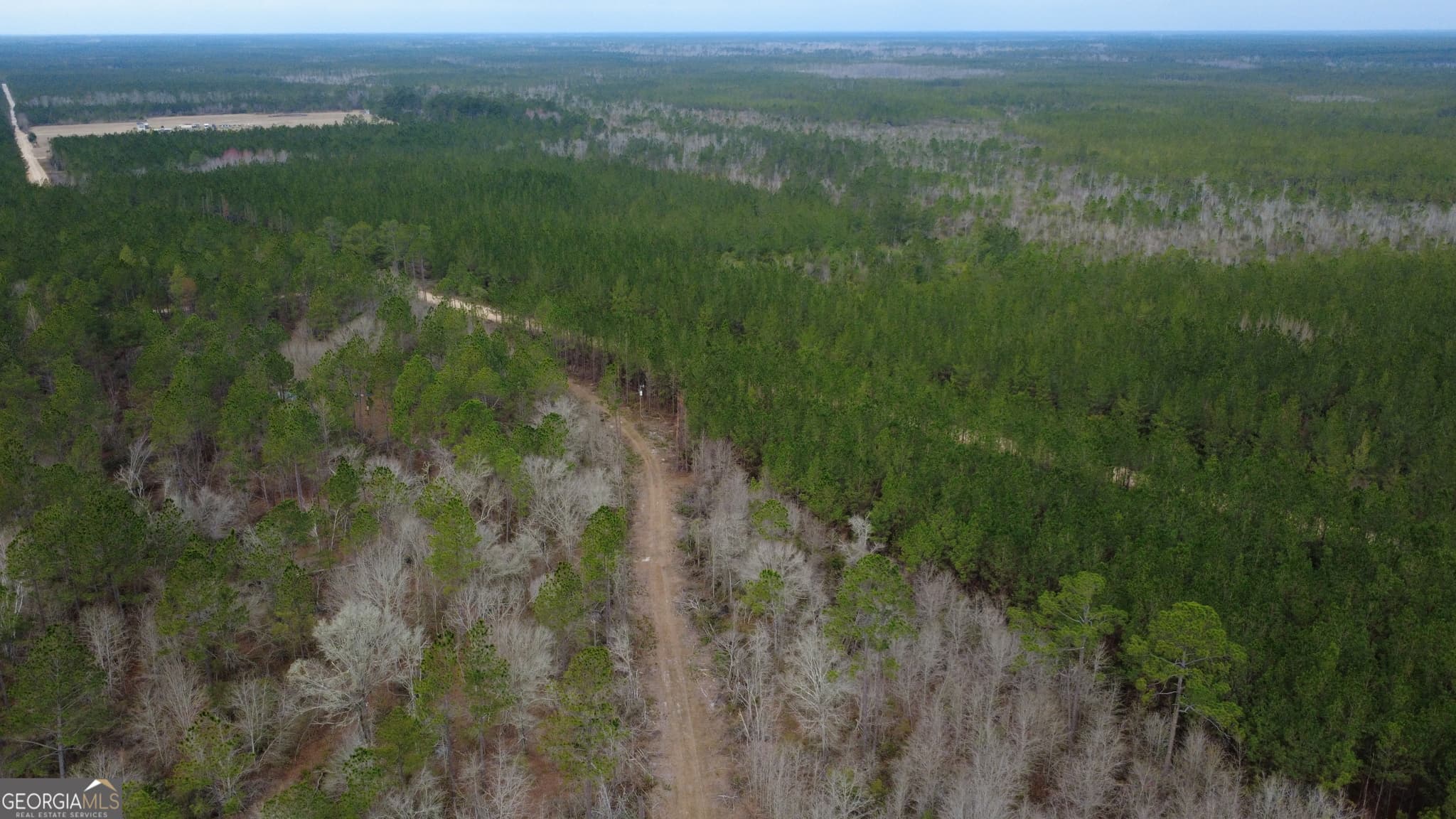 agriculture for sale at 0 Whitaker, Waycross, GA 31503 — photo 7