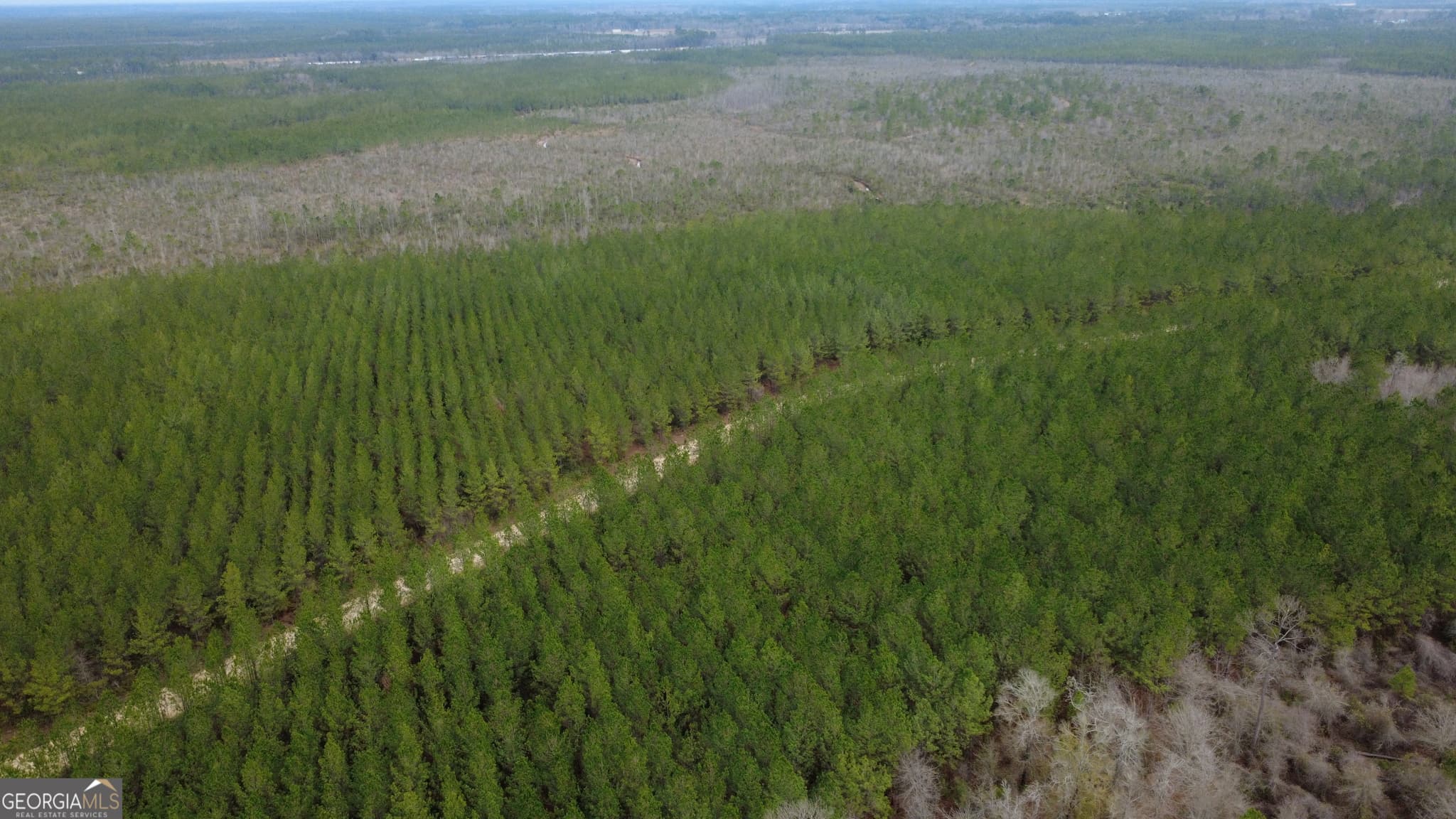 agriculture for sale at 0 Whitaker, Waycross, GA 31503 — photo 3