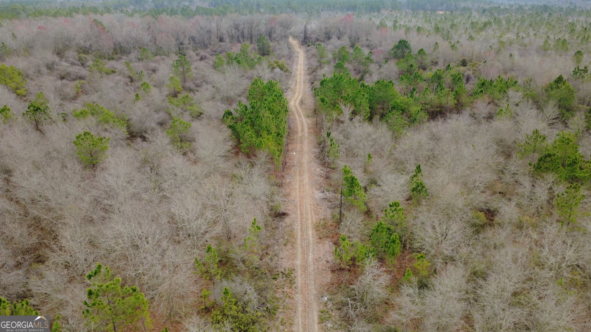 agriculture for sale at 0 Whitaker, Waycross, GA 31503