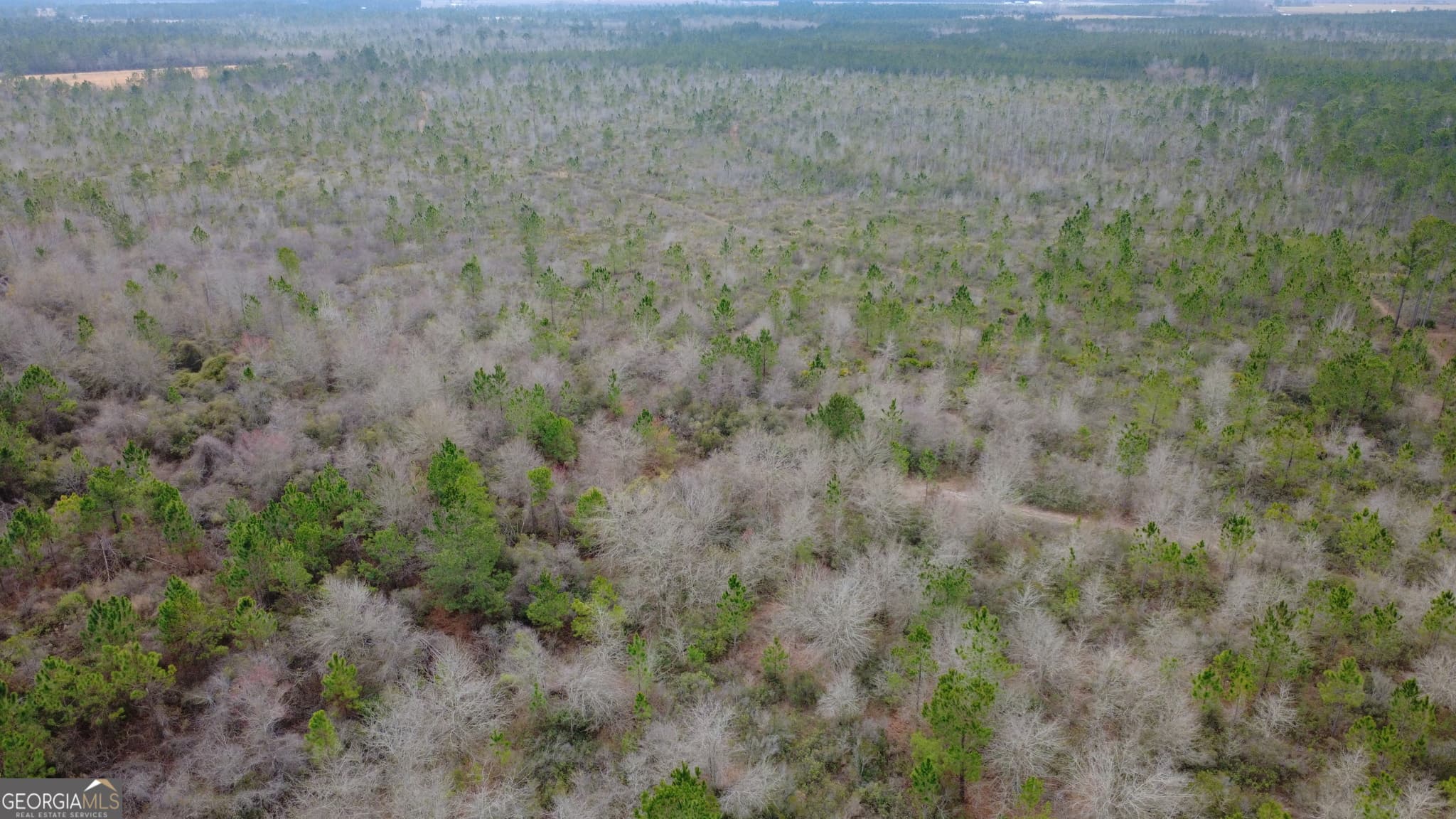 agriculture for sale at 0 Whitaker, Waycross, GA 31503 — photo 5