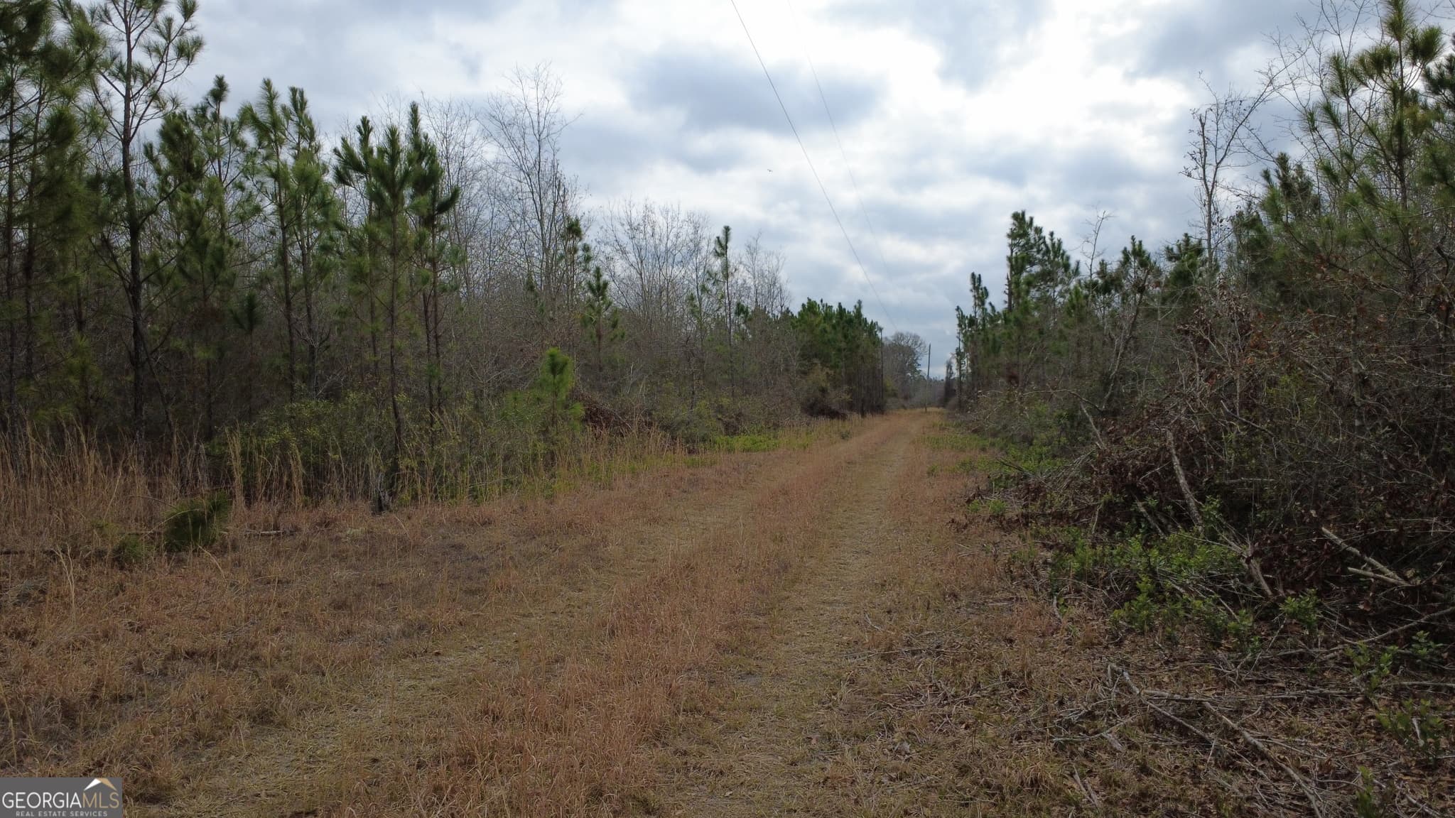 agriculture for sale at 0 Whitaker, Waycross, GA 31503 — photo 9