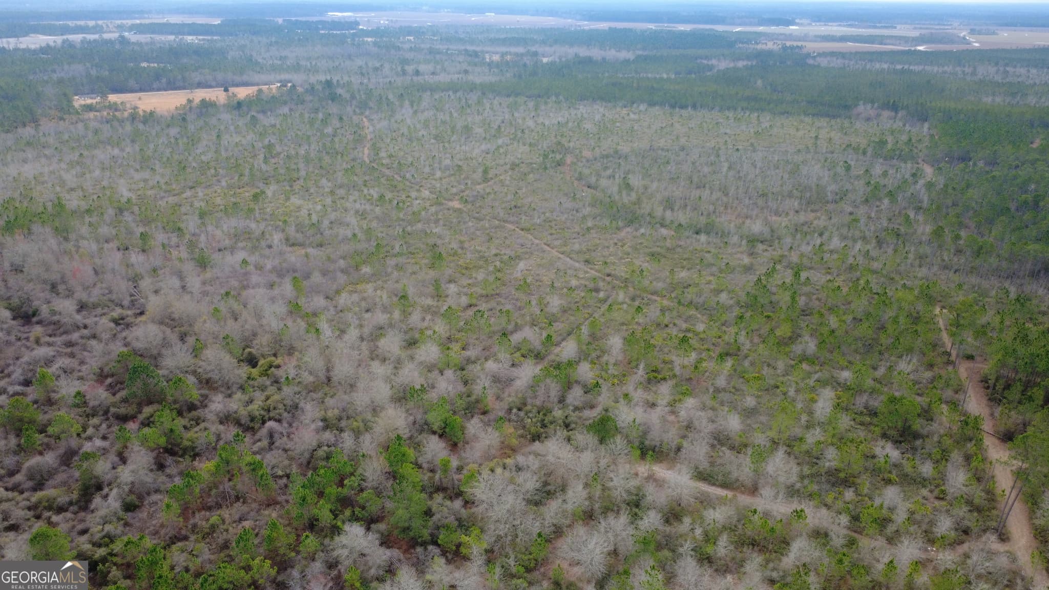 agriculture for sale at 0 Whitaker, Waycross, GA 31503 — photo 4