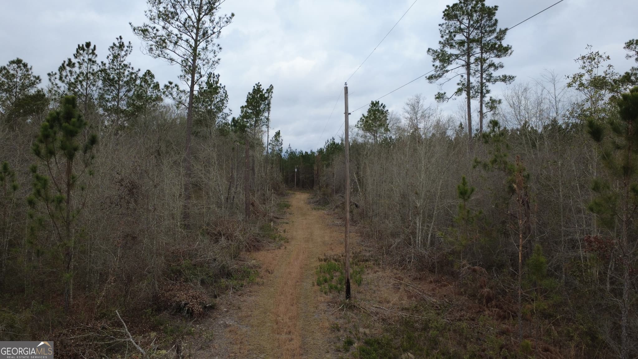 agriculture for sale at 0 Whitaker, Waycross, GA 31503 — photo 8