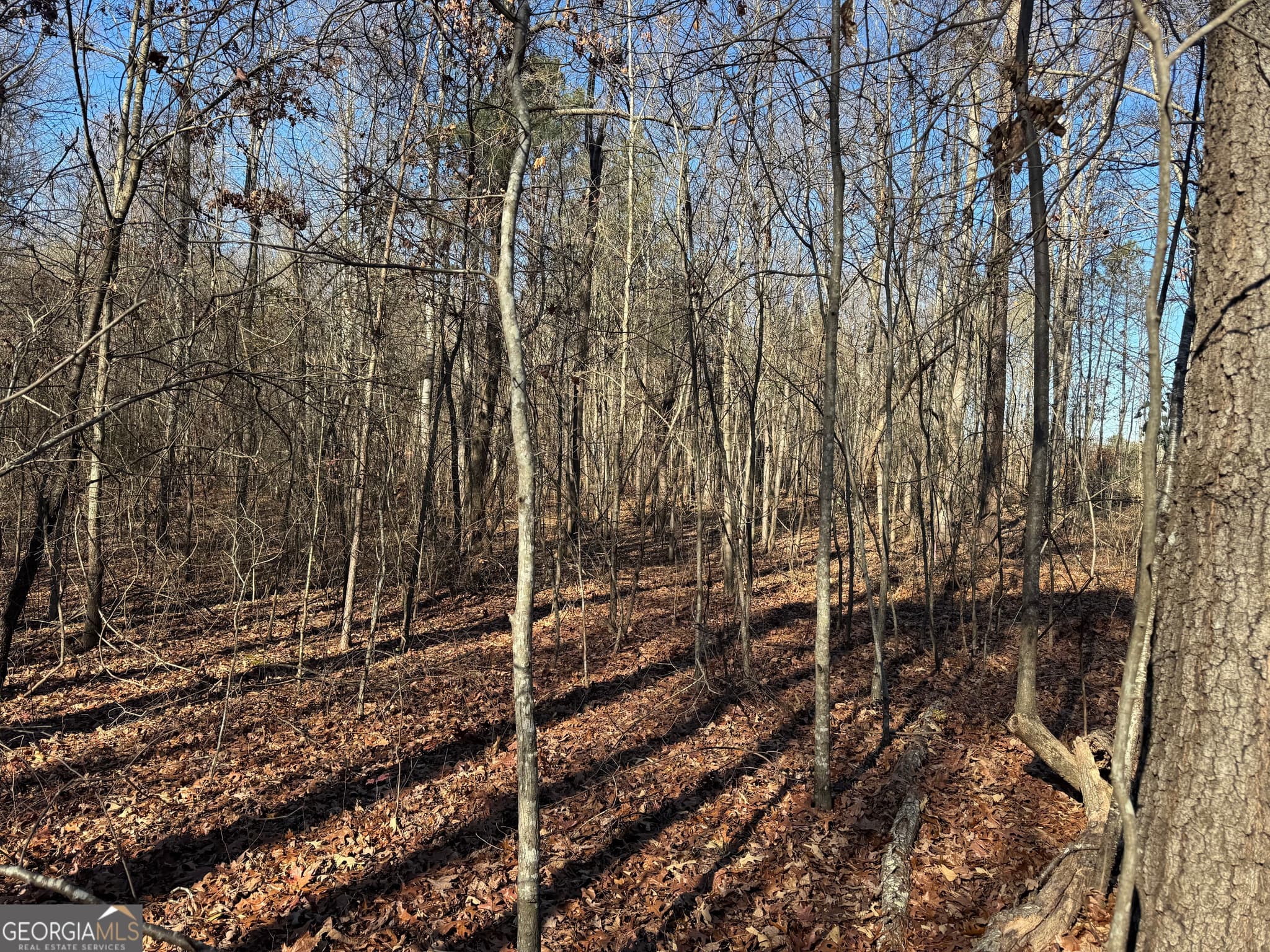 agriculture for sale at 4611 MONROE Hwy - Hwy 78 PARCEL C - 3 ACRES, Bogart, GA 30622 — photo 6