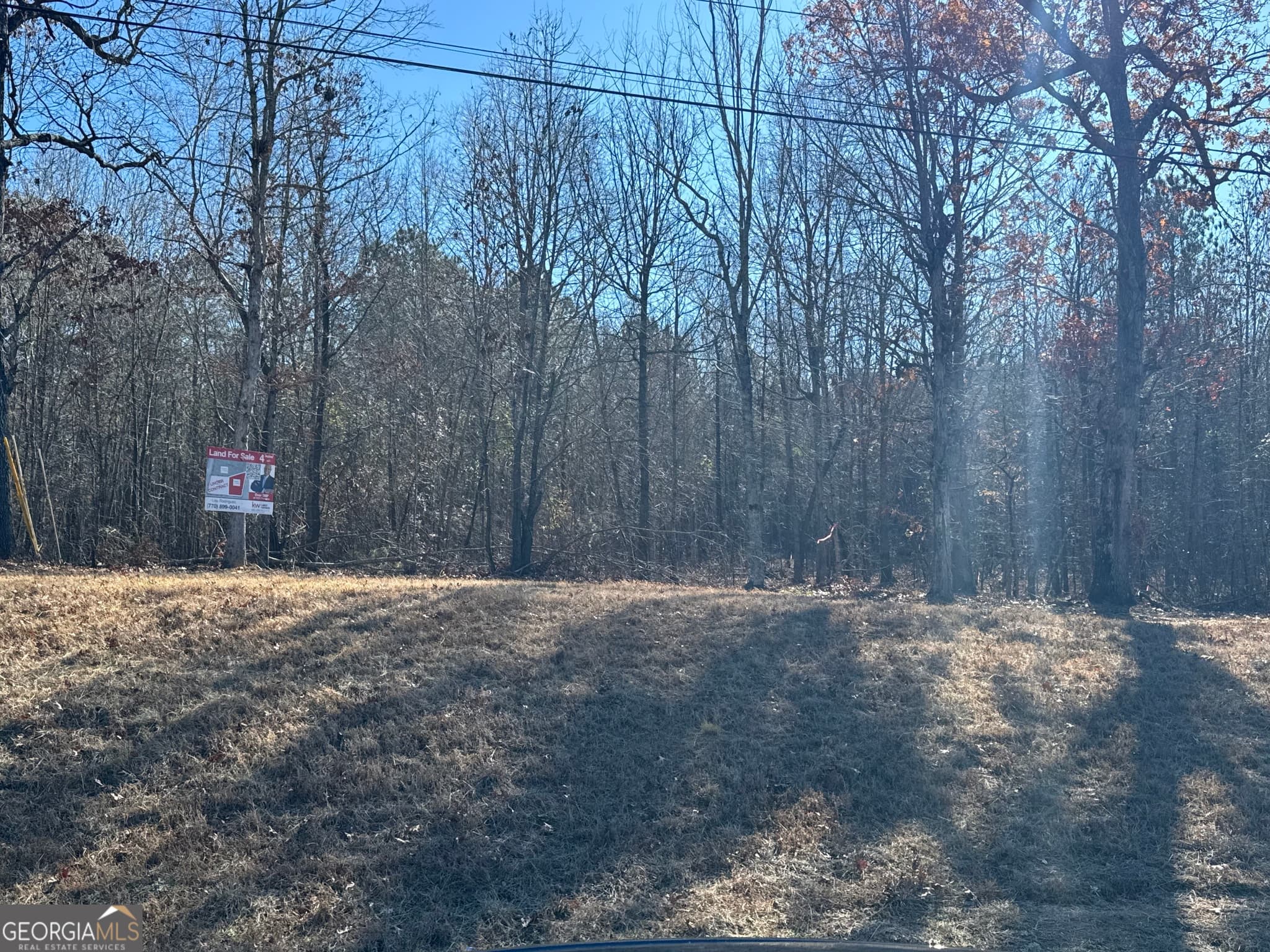agriculture for sale at 4611 MONROE Hwy - Hwy 78 PARCEL C - 3 ACRES, Bogart, GA 30622 — photo 5