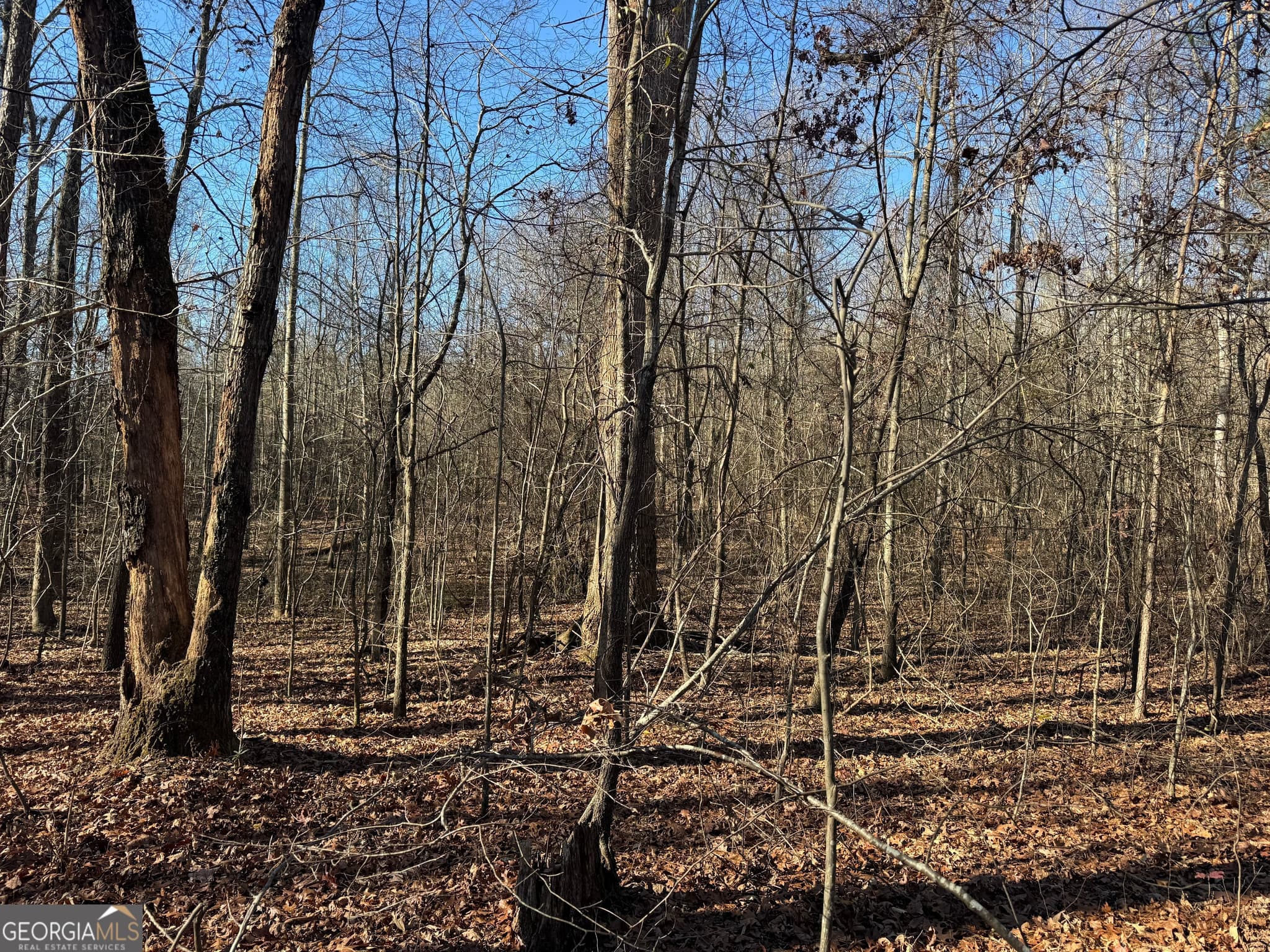 agriculture for sale at 4611 MONROE Hwy - Hwy 78 PARCEL C - 3 ACRES, Bogart, GA 30622 — photo 4
