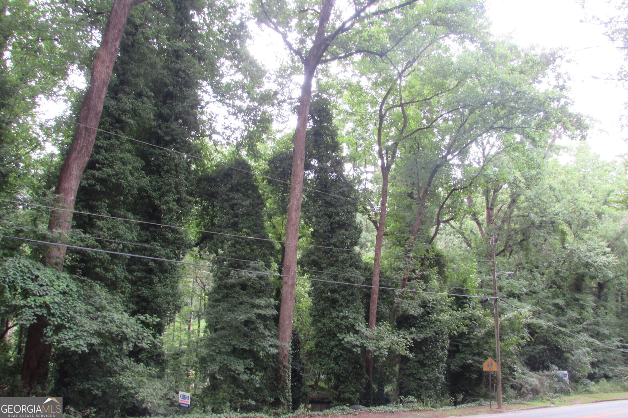 unimproved land for sale at 3136 Collier Drive, Atlanta, GA 30318 — photo 3