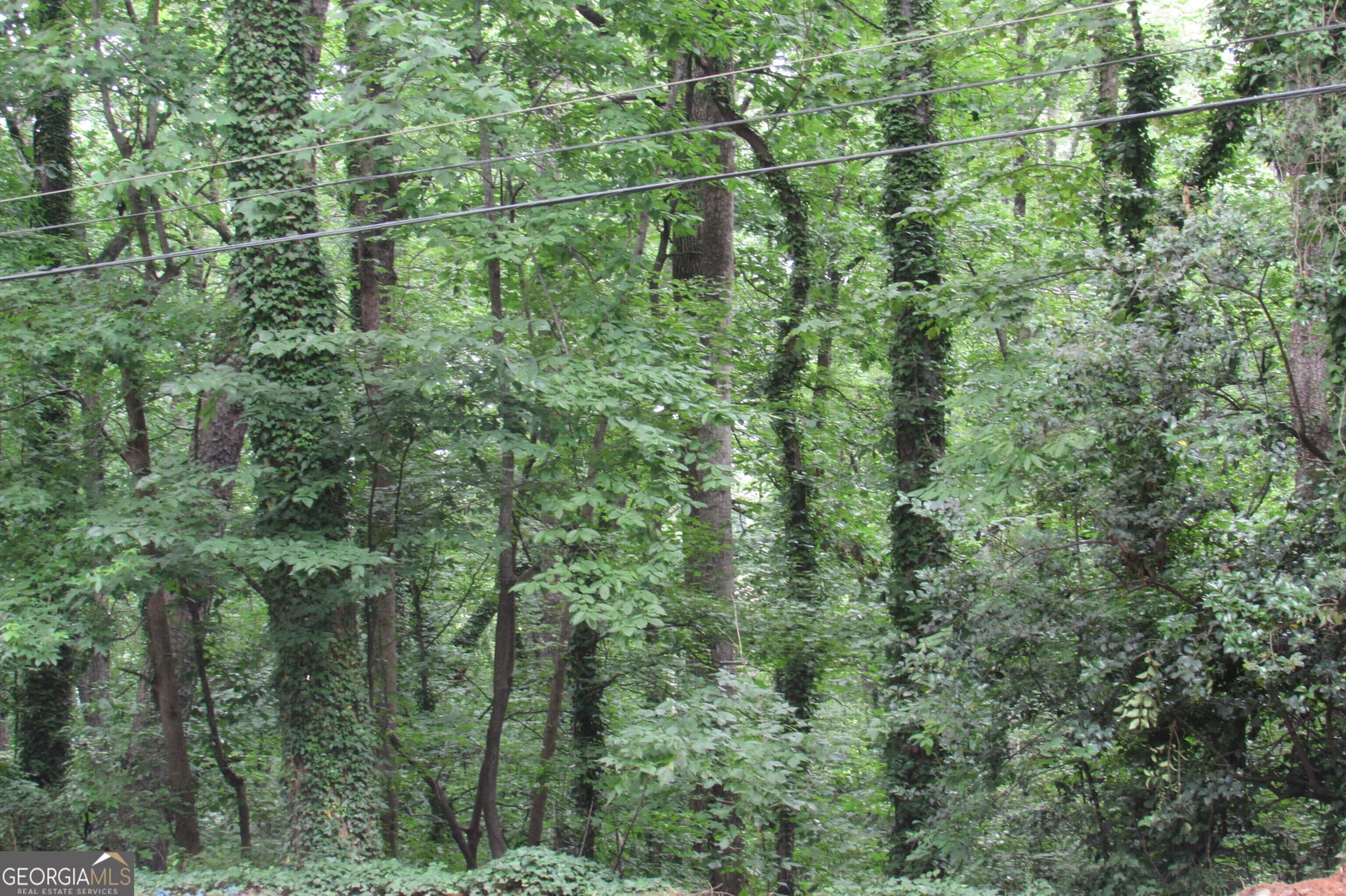 unimproved land for sale at 3136 Collier Drive, Atlanta, GA 30318 — photo 5
