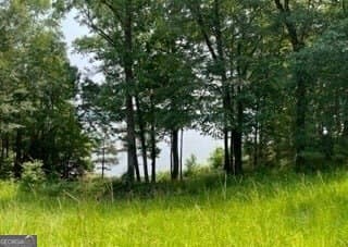 residential lot for sale at 999 Savannah Ridge Road, Lincolnton, GA 30817 — photo 5