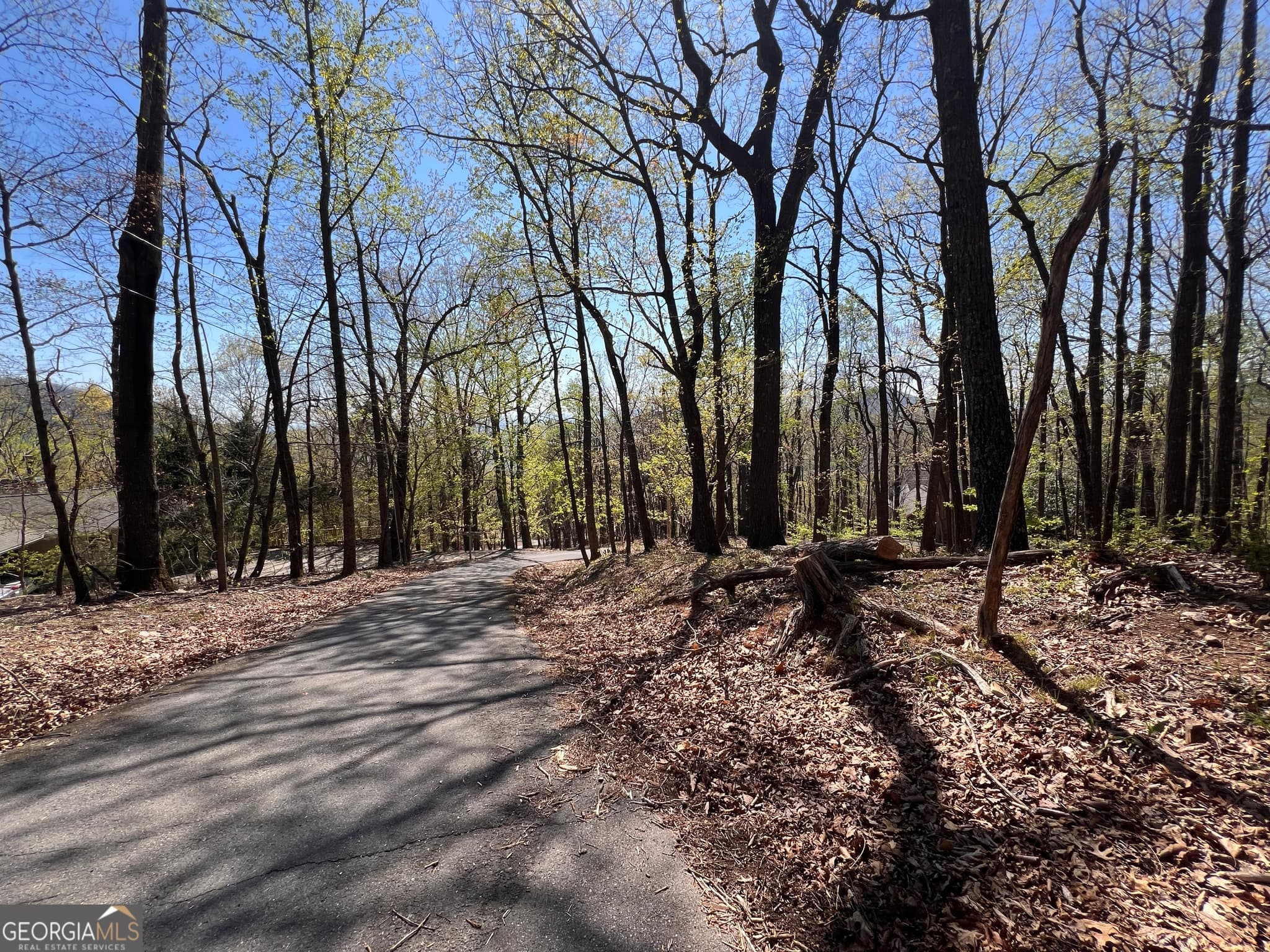 residential lot for sale at 4546 Sassafras Court 4546, Jasper, GA 30143 — photo 2