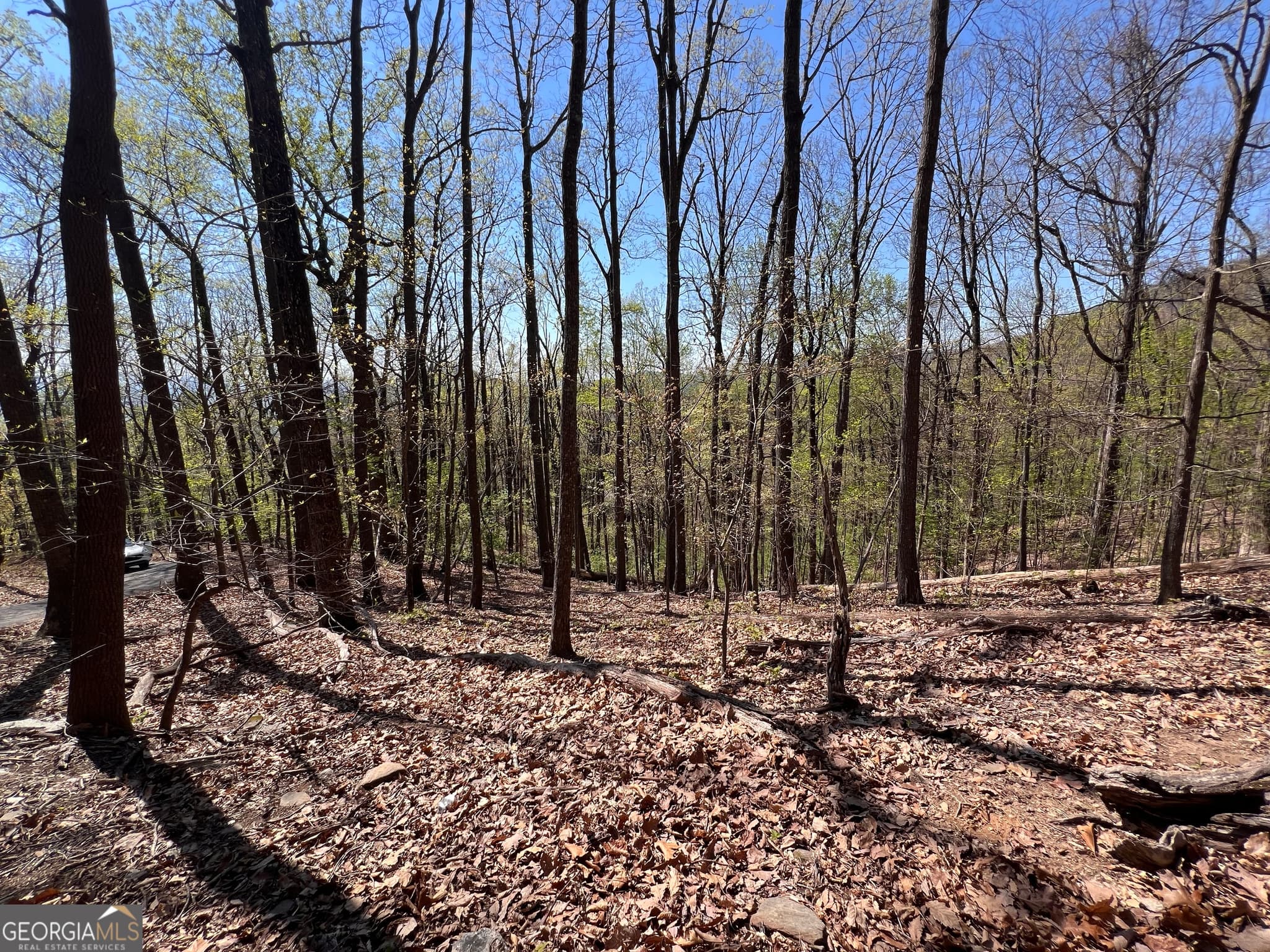 residential lot for sale at 4546 Sassafras Court 4546, Jasper, GA 30143 — photo 7