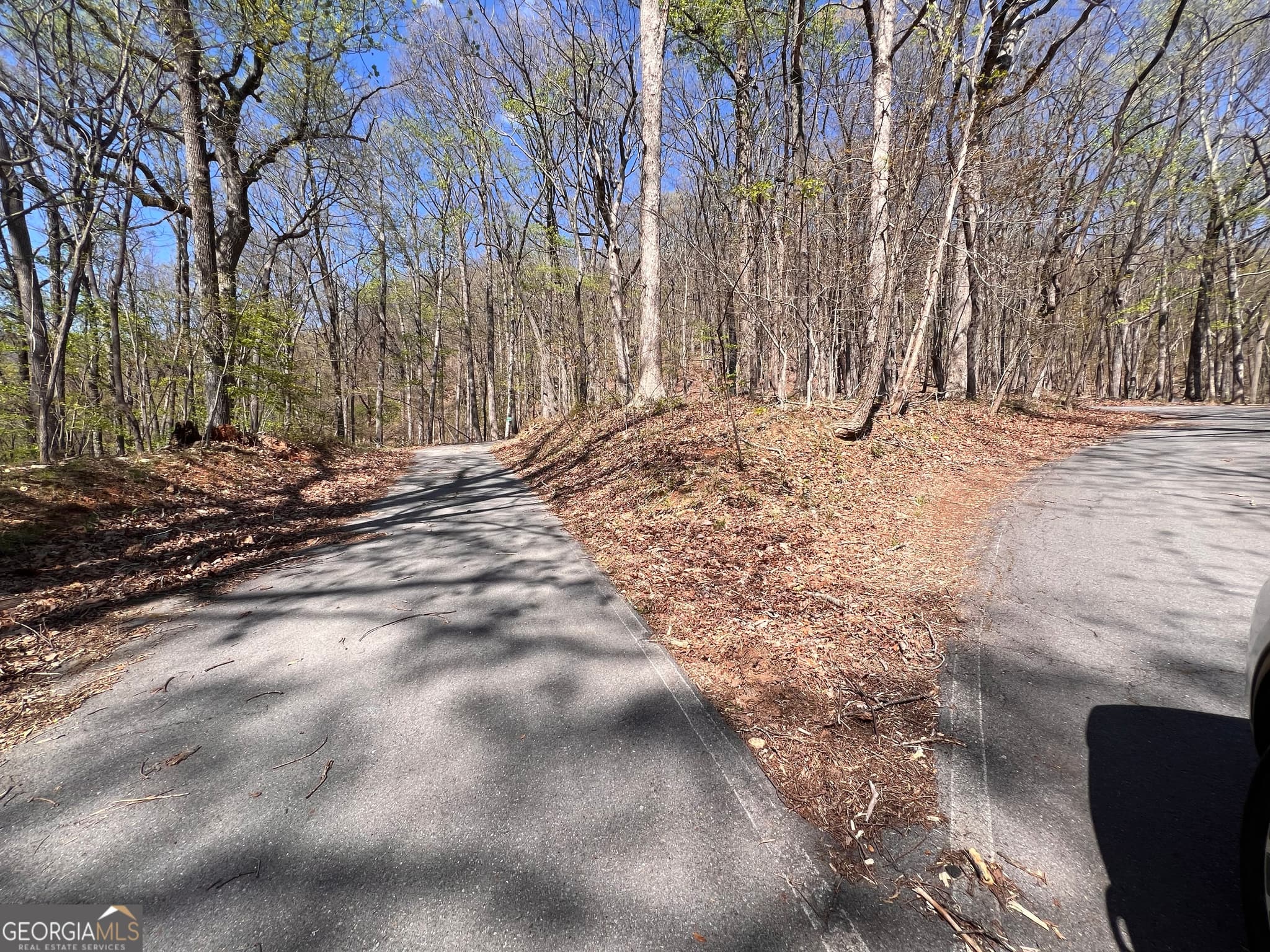 residential lot for sale at 4546 Sassafras Court 4546, Jasper, GA 30143 — photo 3