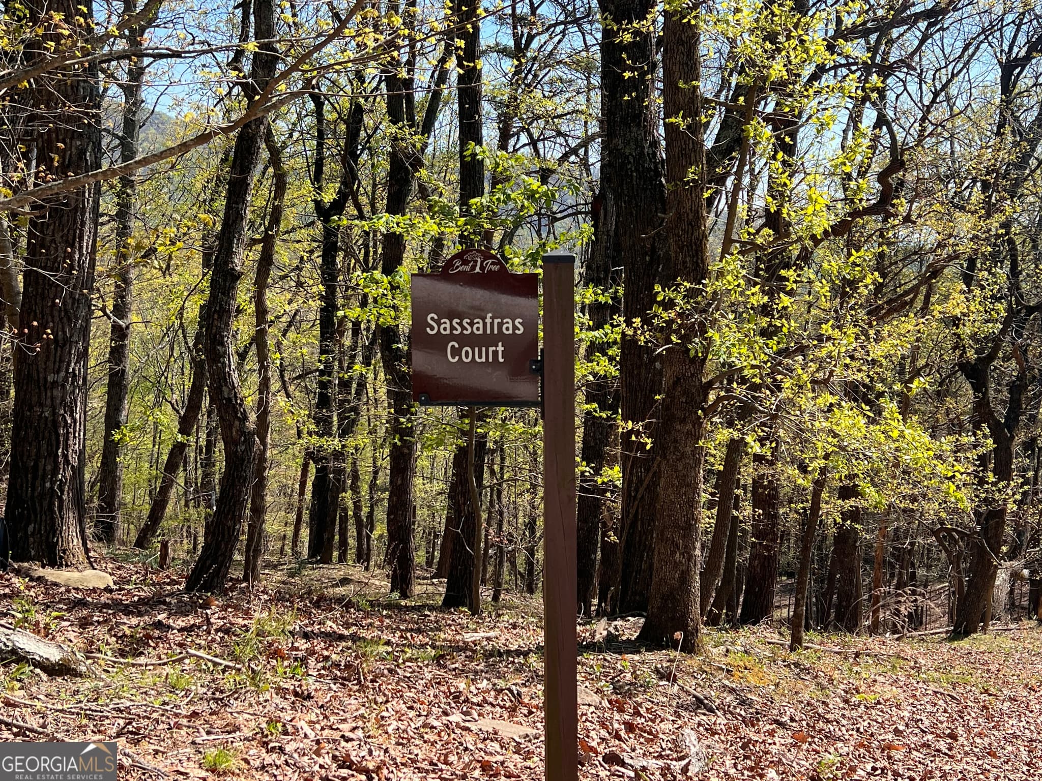 residential lot for sale at 4546 Sassafras Court 4546, Jasper, GA 30143 — photo 1 of 26