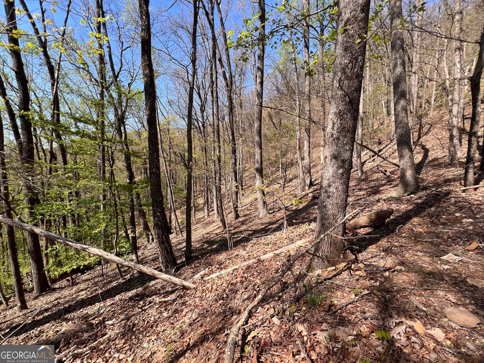 residential lot for sale at 4546 Sassafras Court 4546, Jasper, GA 30143 — photo 5