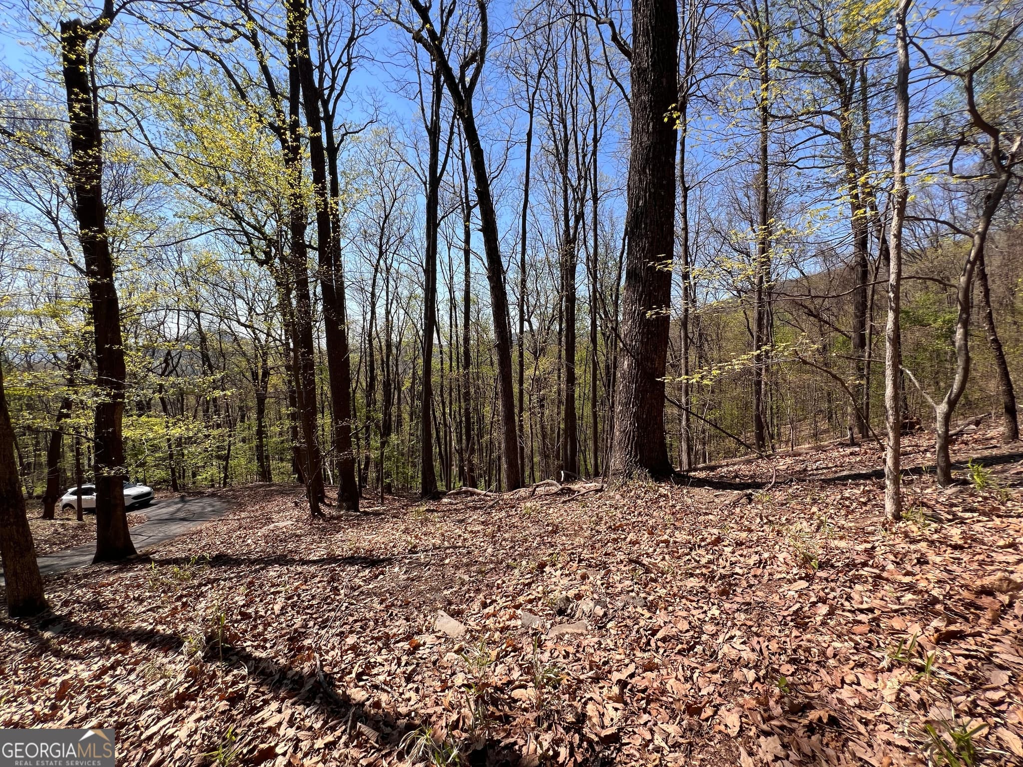 residential lot for sale at 4546 Sassafras Court 4546, Jasper, GA 30143 — photo 9