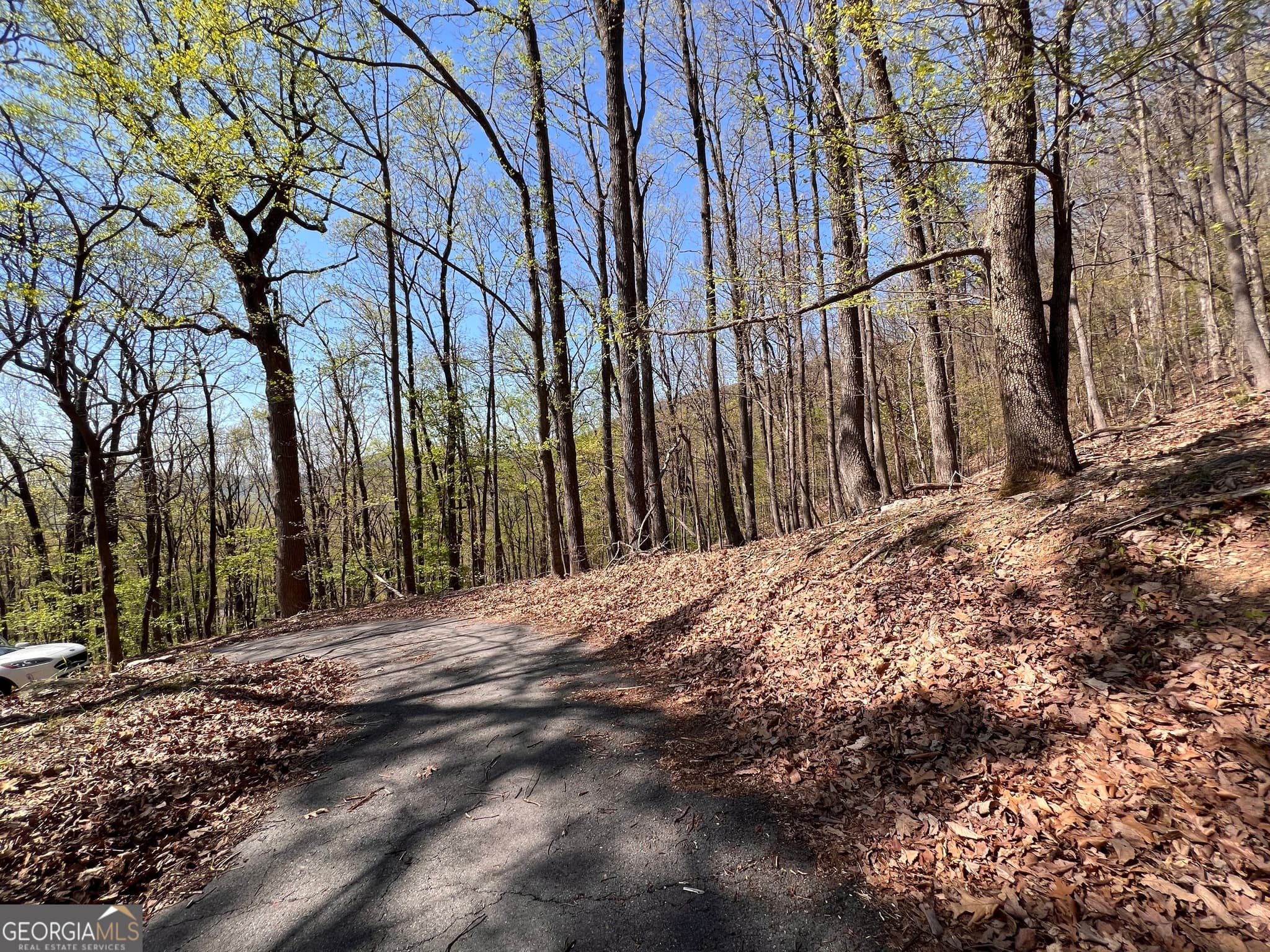 residential lot for sale at 4546 Sassafras Court 4546, Jasper, GA 30143 — photo 10