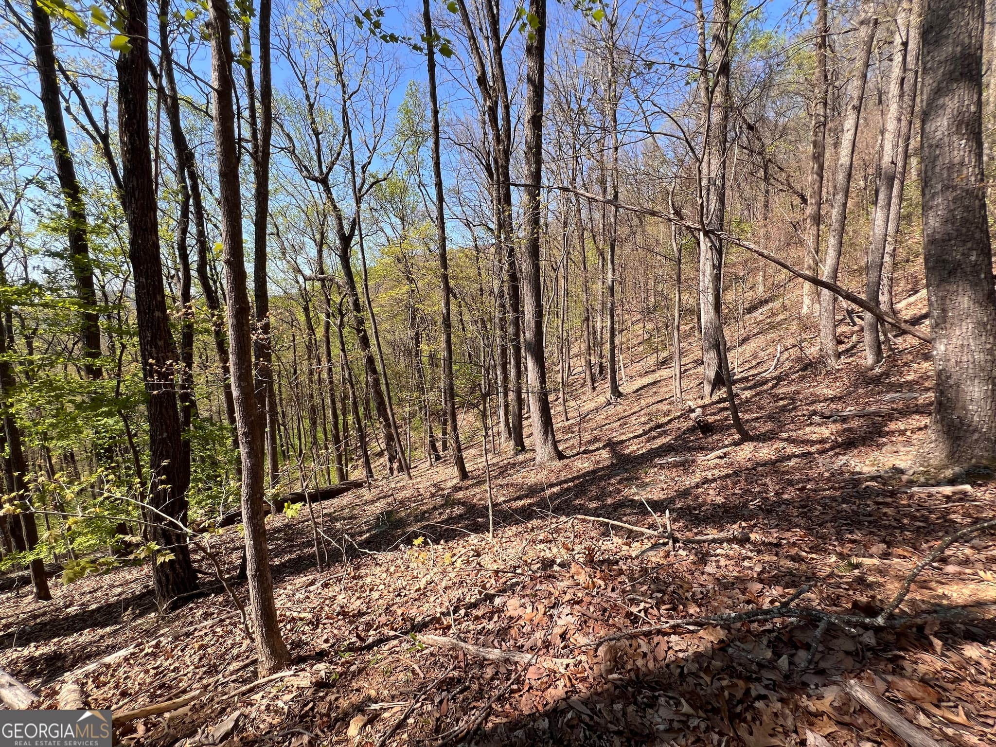 residential lot for sale at 4546 Sassafras Court 4546, Jasper, GA 30143 — photo 4