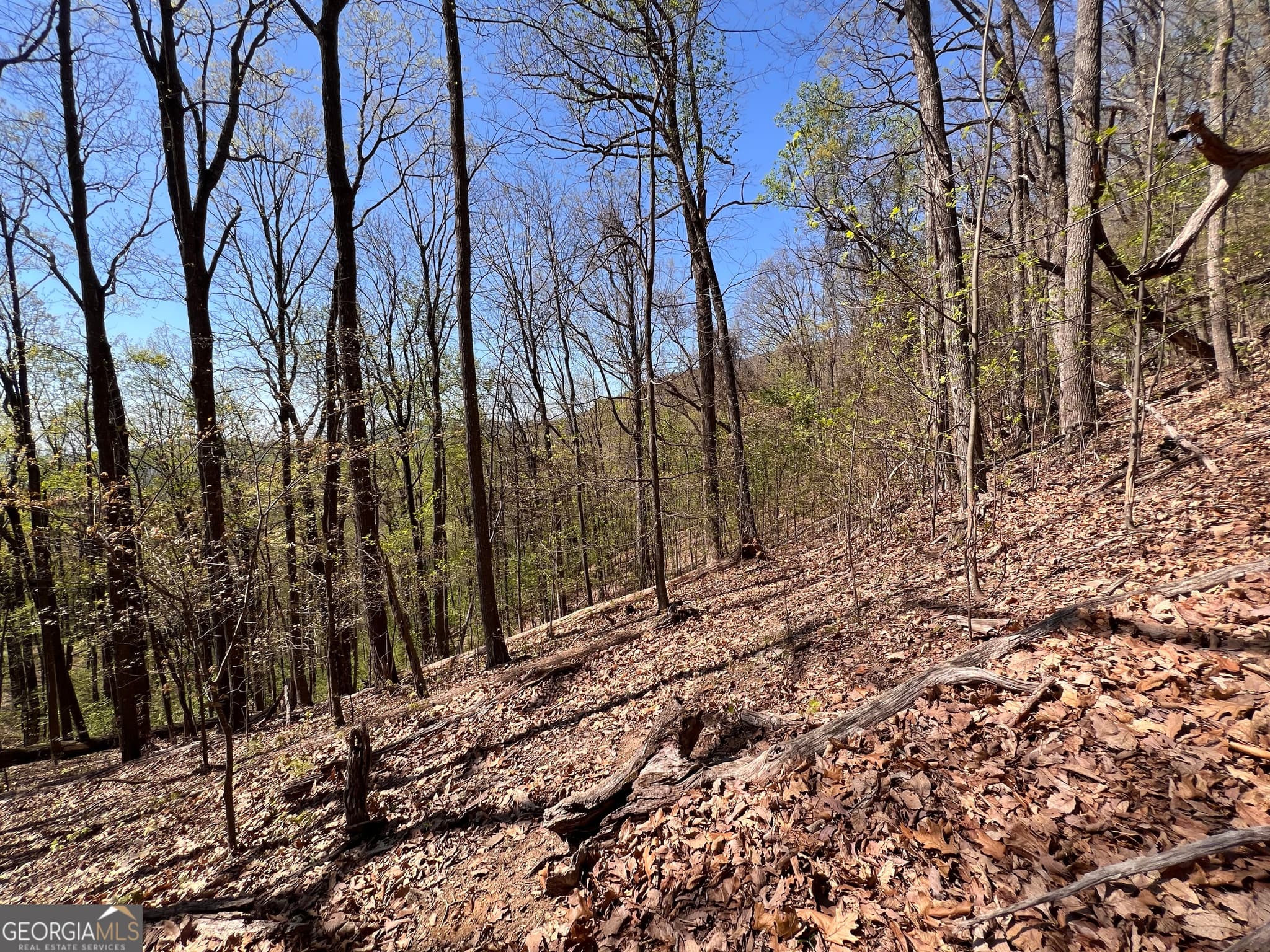 residential lot for sale at 4546 Sassafras Court 4546, Jasper, GA 30143 — photo 8