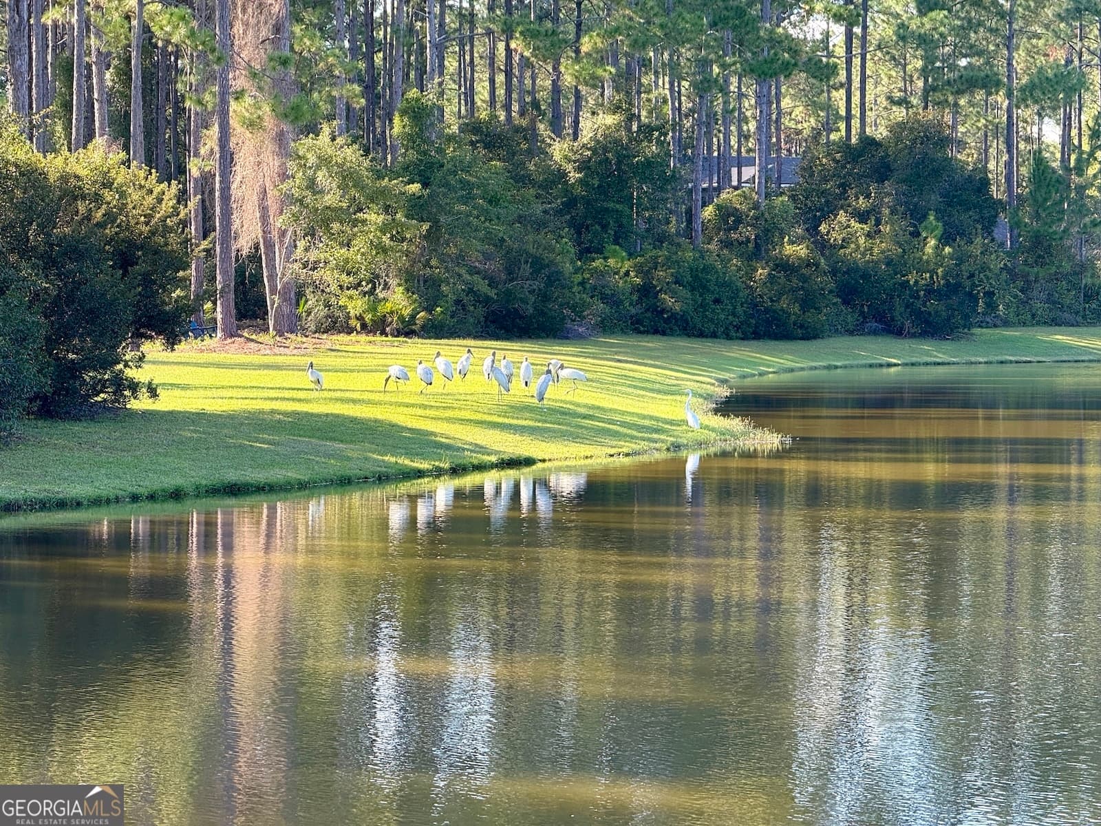 residential lot for sale at 600 South Point Boulevard, St. Marys, GA 31558 — photo 7