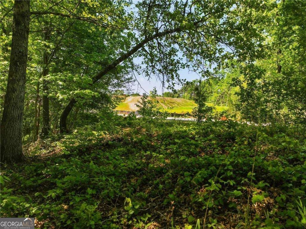 residential lot for sale at LOT 7 Summit Drive, Dahlonega, GA 30533 — photo 3