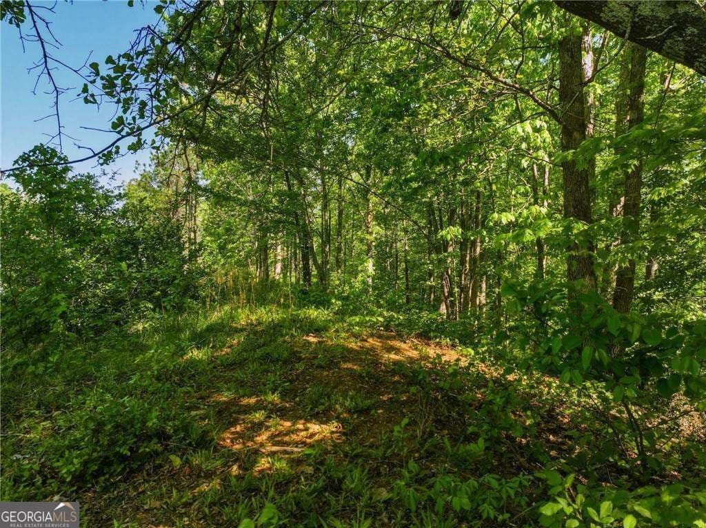 residential lot for sale at LOT 7 Summit Drive, Dahlonega, GA 30533 — photo 5