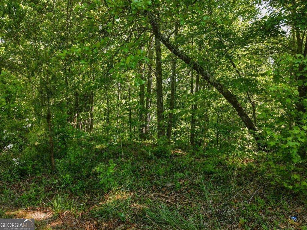 residential lot for sale at LOT 7 Summit Drive, Dahlonega, GA 30533 — photo 4