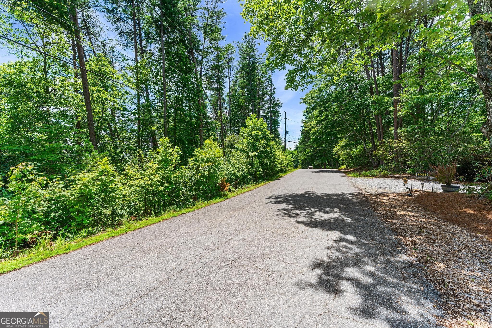 residential lot for sale at 15D Woodbrier, Sautee Nacoochee, GA 30571 — photo 6