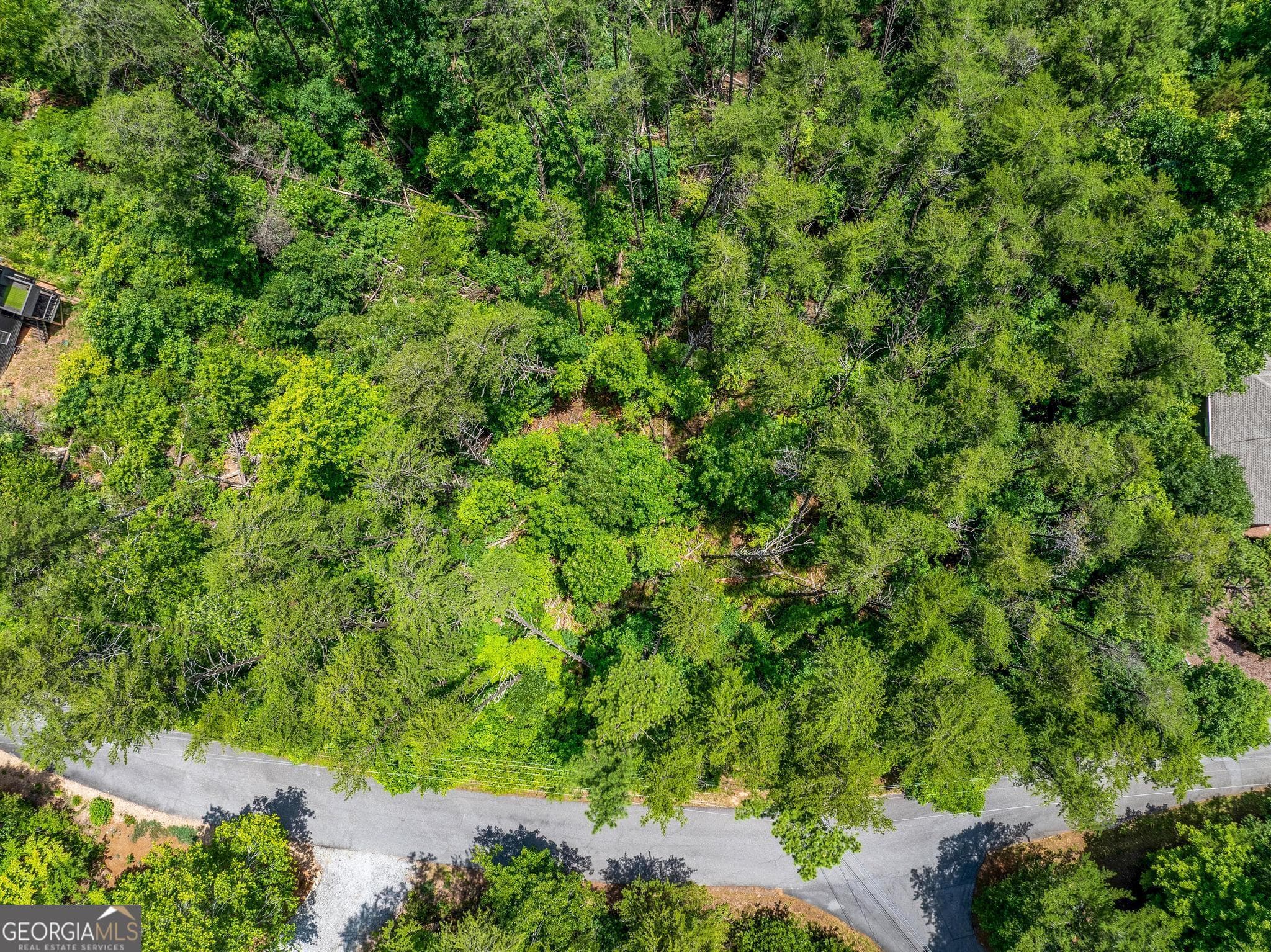 residential lot for sale at 15D Woodbrier, Sautee Nacoochee, GA 30571 — photo 9