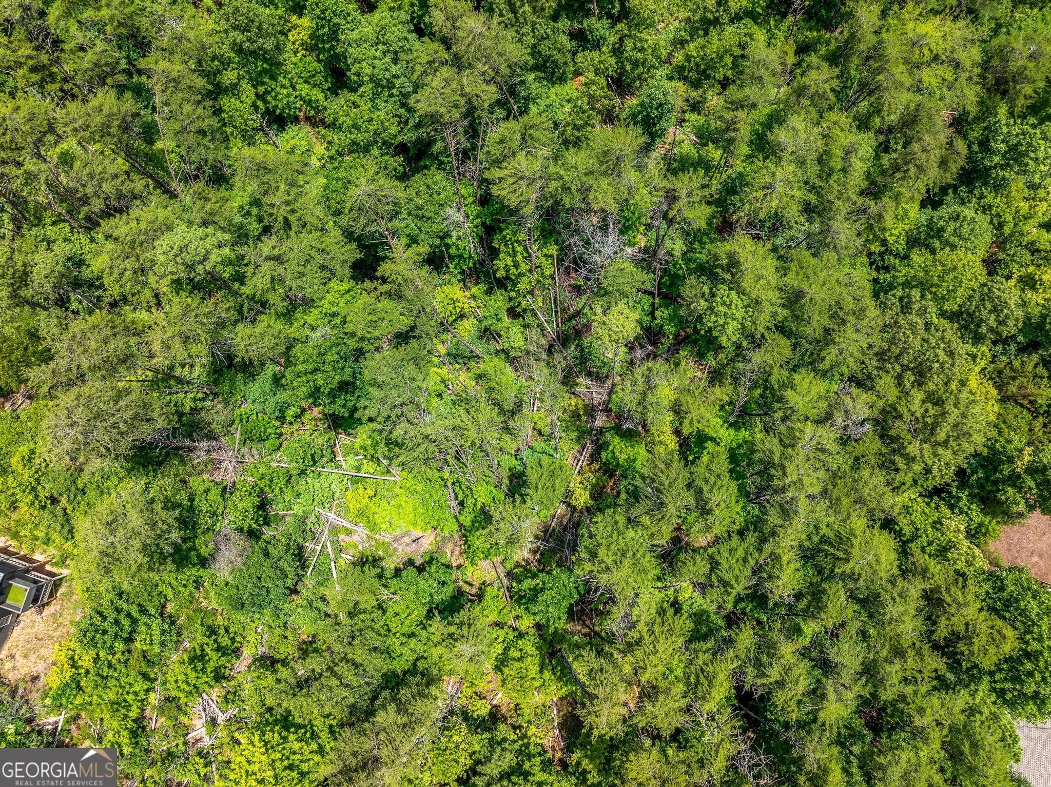 residential lot for sale at 15D Woodbrier, Sautee Nacoochee, GA 30571 — photo 10