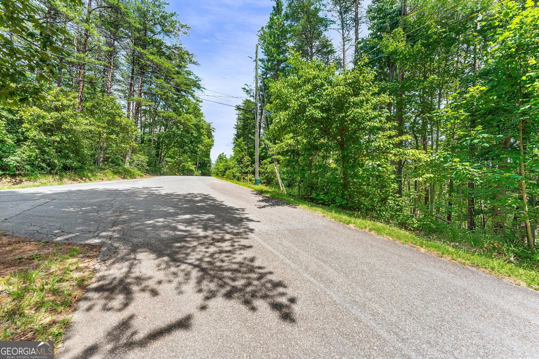 residential lot for sale at 15D Woodbrier, Sautee Nacoochee, GA 30571 — photo 4