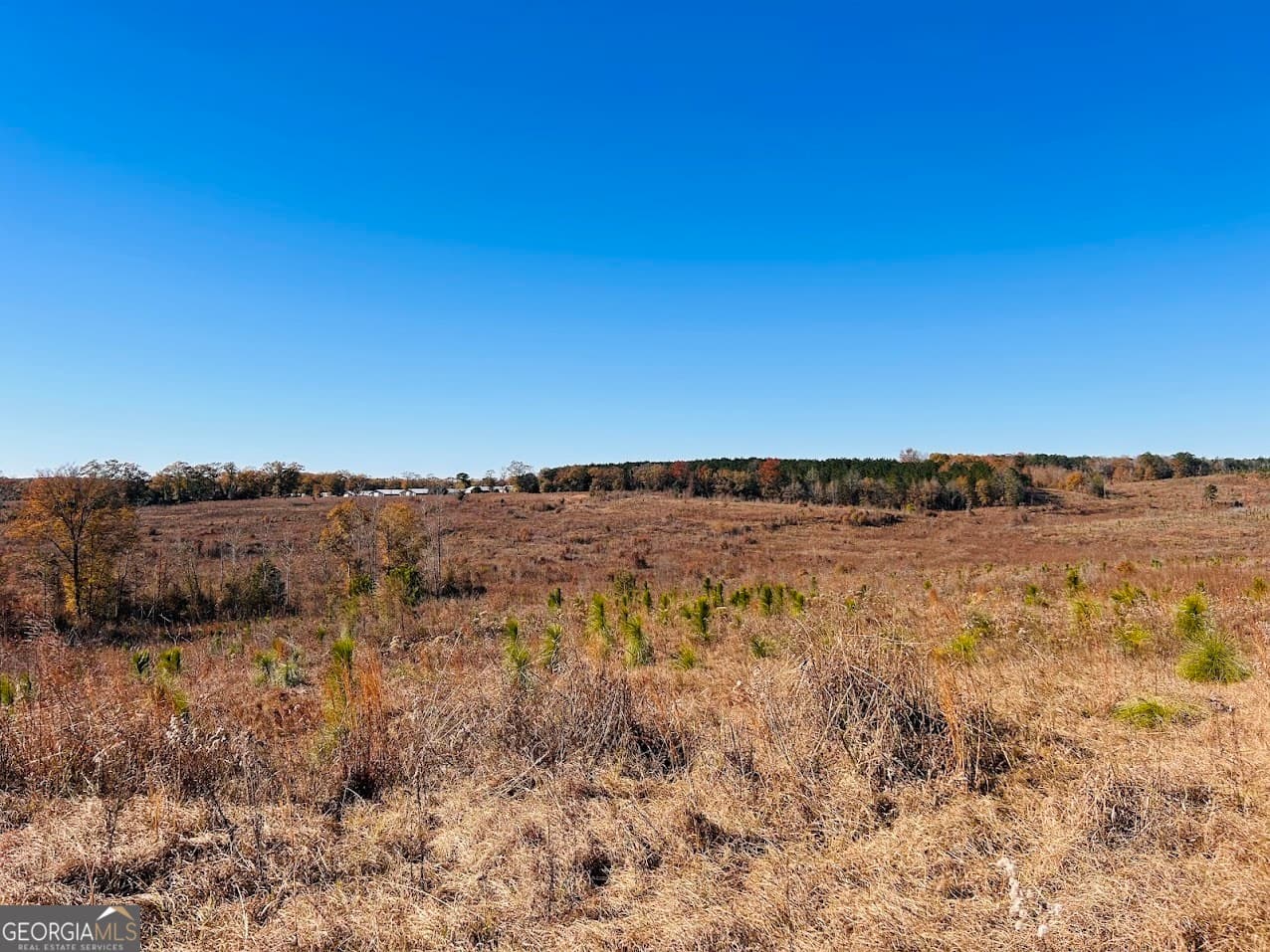 agriculture under contract at 0 Jaye Road, Rupert, GA 31081 — photo 2