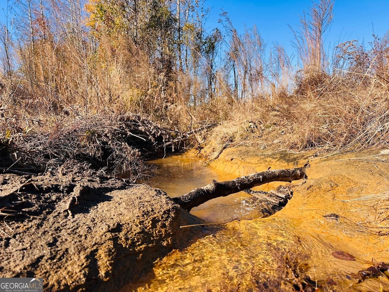 agriculture under contract at 0 Jaye Road, Rupert, GA 31081 — photo 7