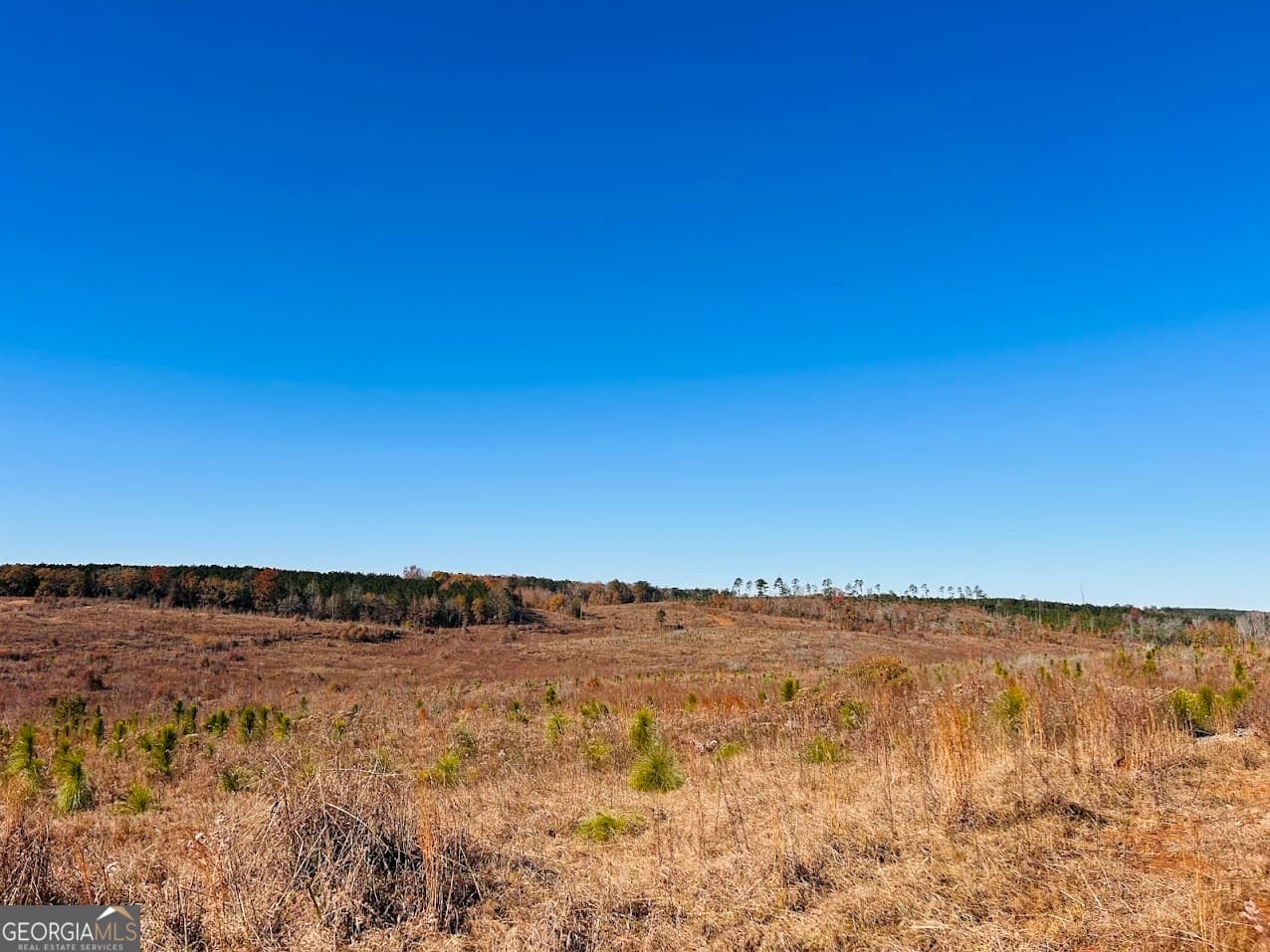 agriculture under contract at 0 Jaye Road, Rupert, GA 31081 — photo 3