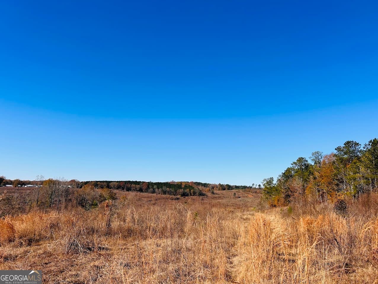 agriculture under contract at 0 Jaye Road, Rupert, GA 31081