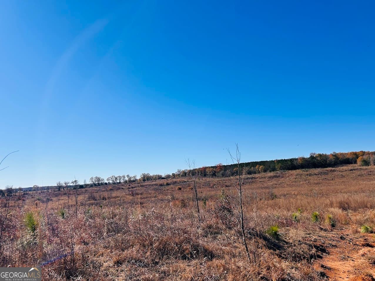agriculture under contract at 0 Jaye Road, Rupert, GA 31081 — photo 9