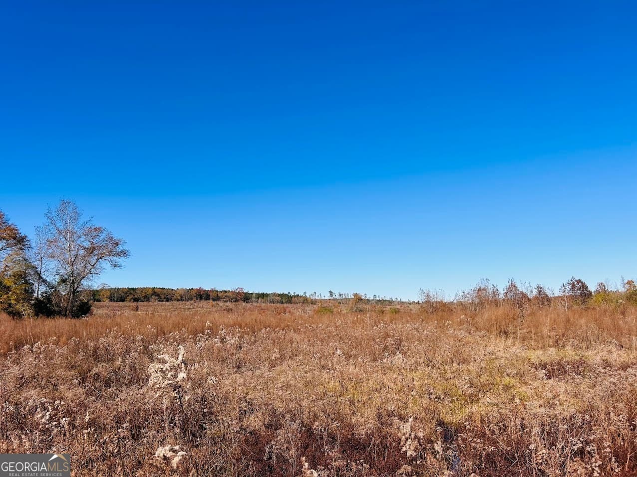agriculture under contract at 0 Jaye Road, Rupert, GA 31081 — photo 10