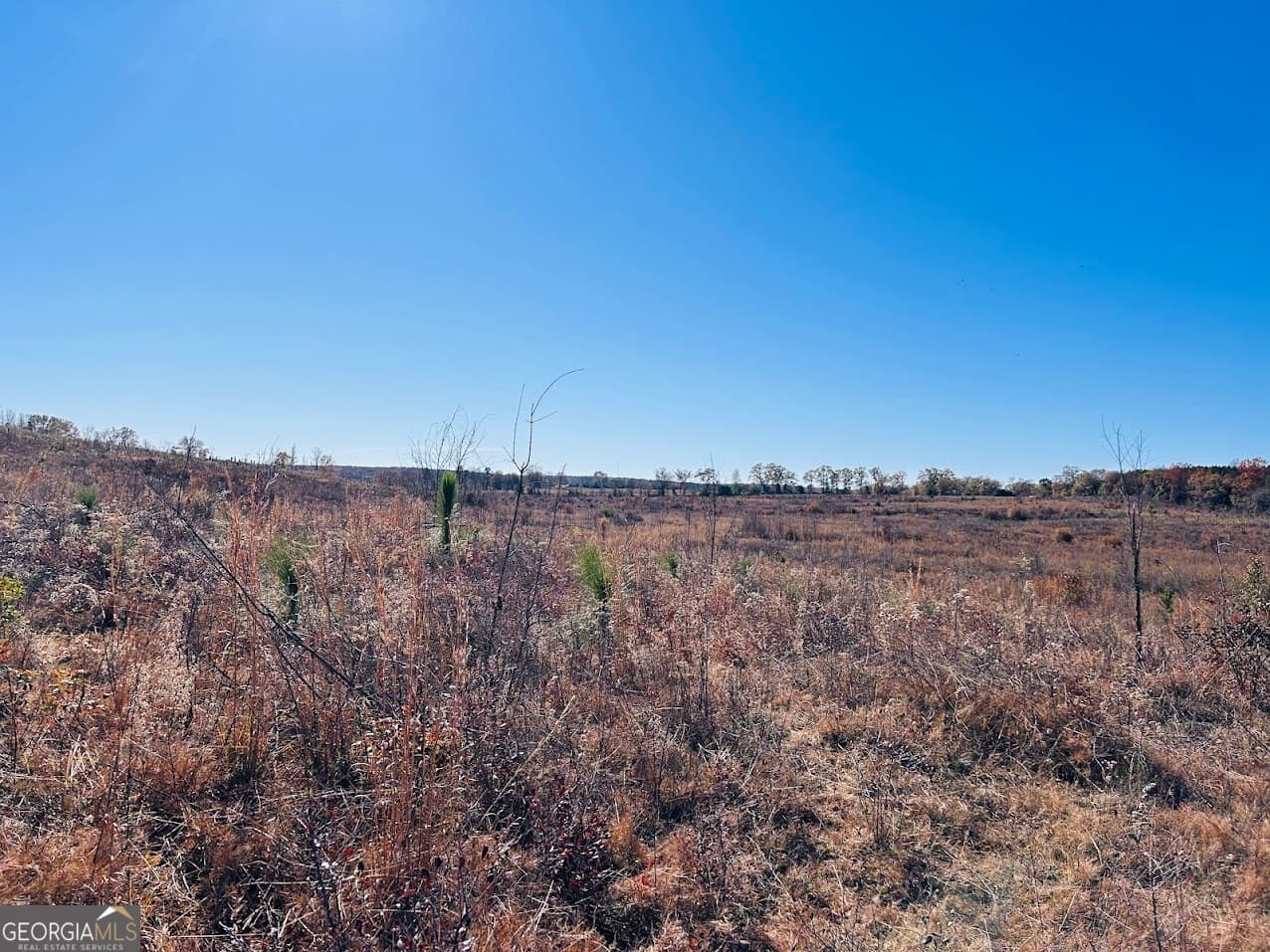 agriculture under contract at 0 Jaye Road, Rupert, GA 31081 — photo 8