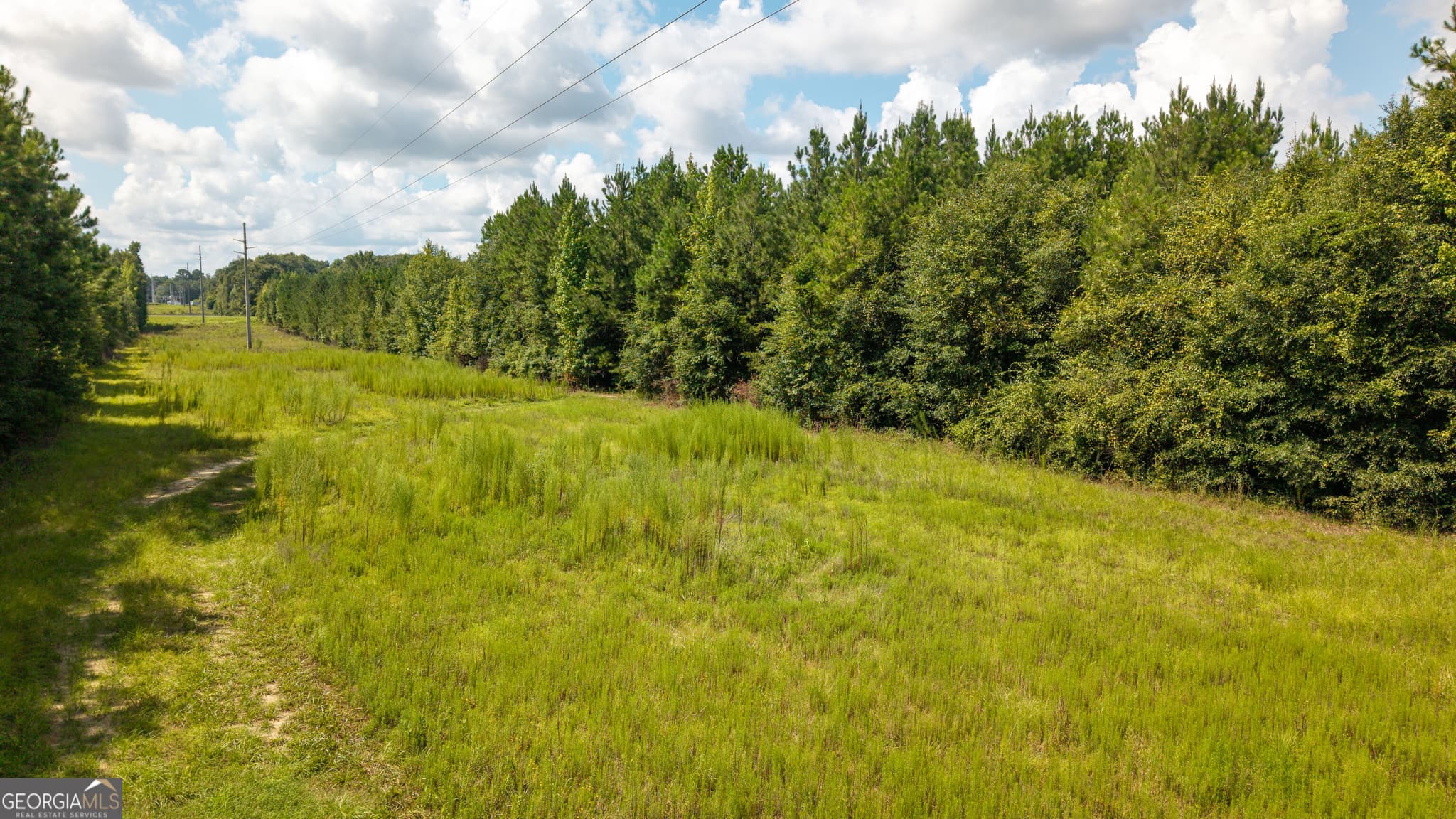 unimproved land for sale at 0 Buck Creek Bypass, Oglethorpe, GA 31068 — photo 7