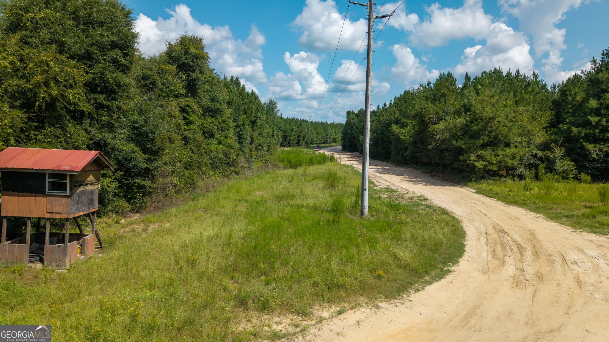 unimproved land for sale at 0 Buck Creek Bypass, Oglethorpe, GA 31068 — photo 9