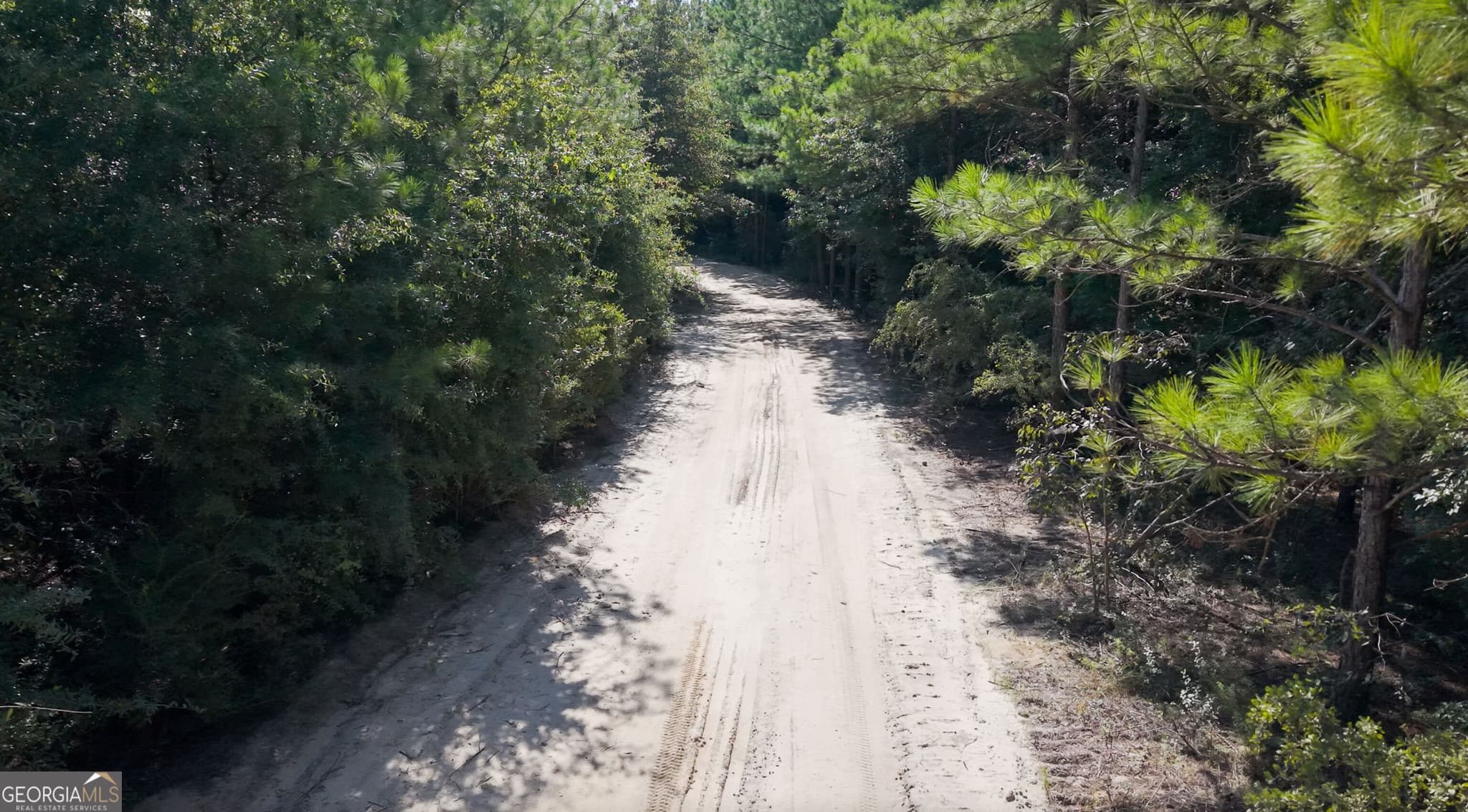 unimproved land for sale at 0 Buck Creek Bypass, Oglethorpe, GA 31068 — photo 10