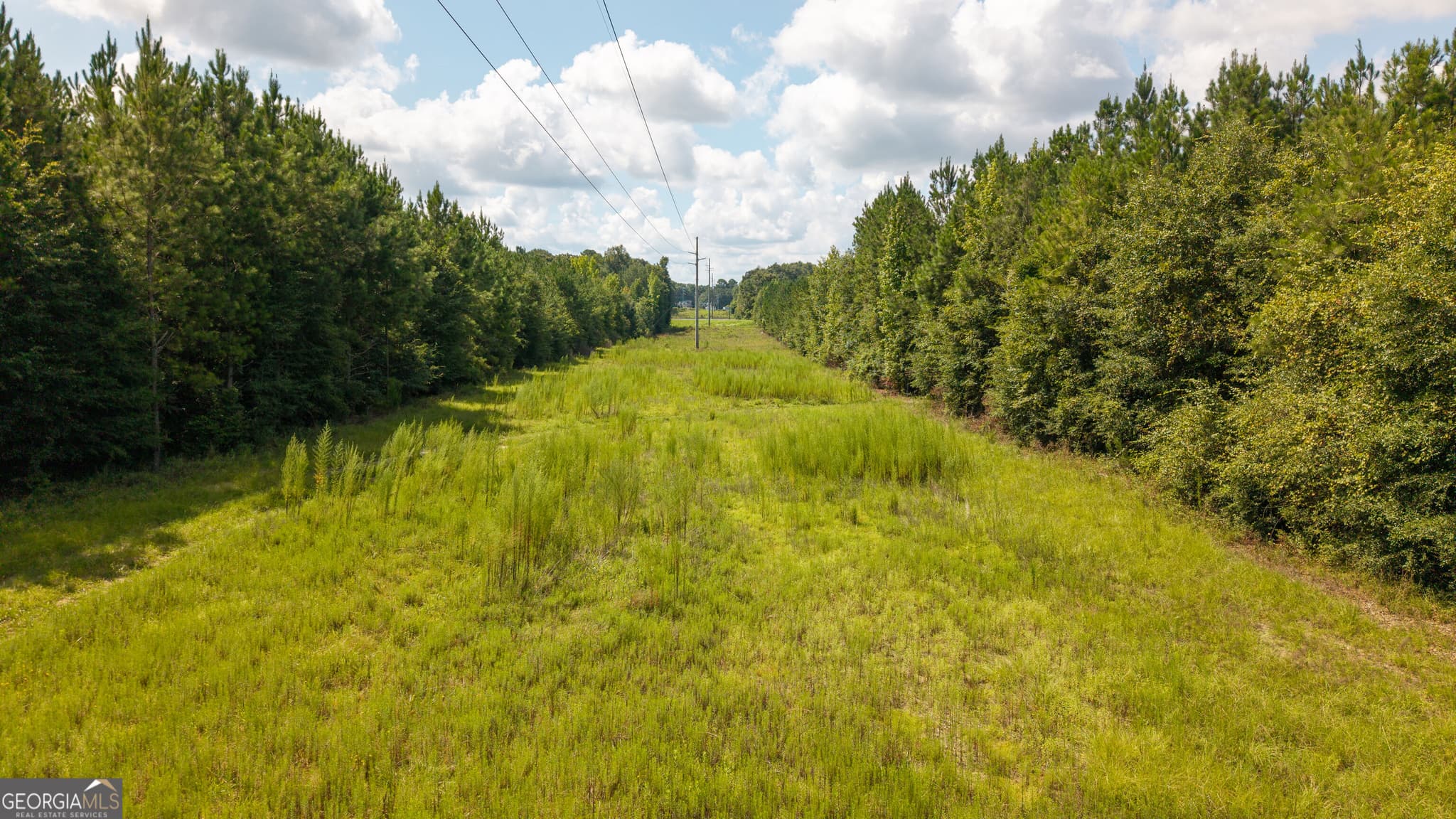 unimproved land for sale at 0 Buck Creek Bypass, Oglethorpe, GA 31068 — photo 8