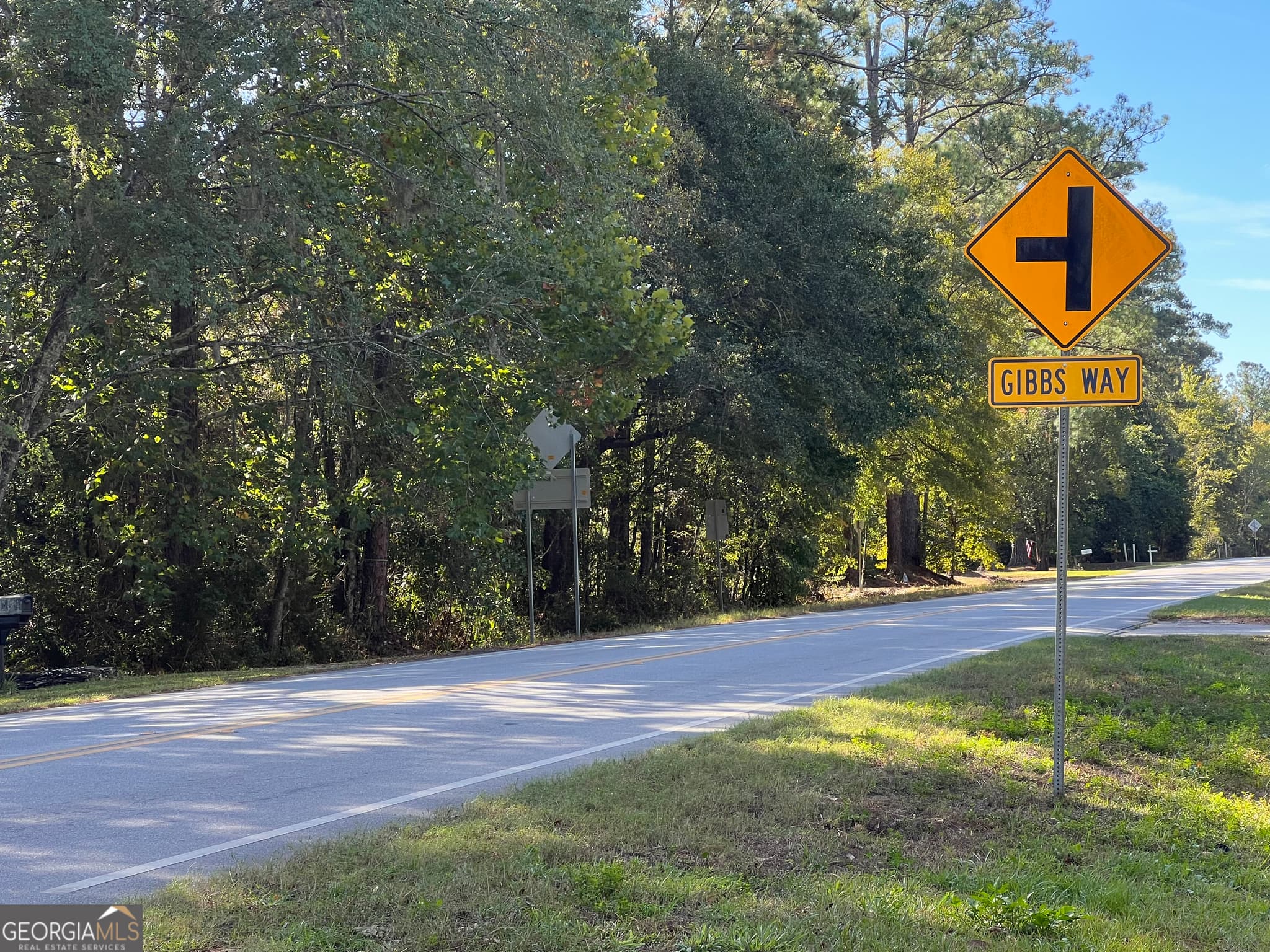 unimproved land for sale at 0 US Highway 17, Waverly, GA 31565 — photo 2