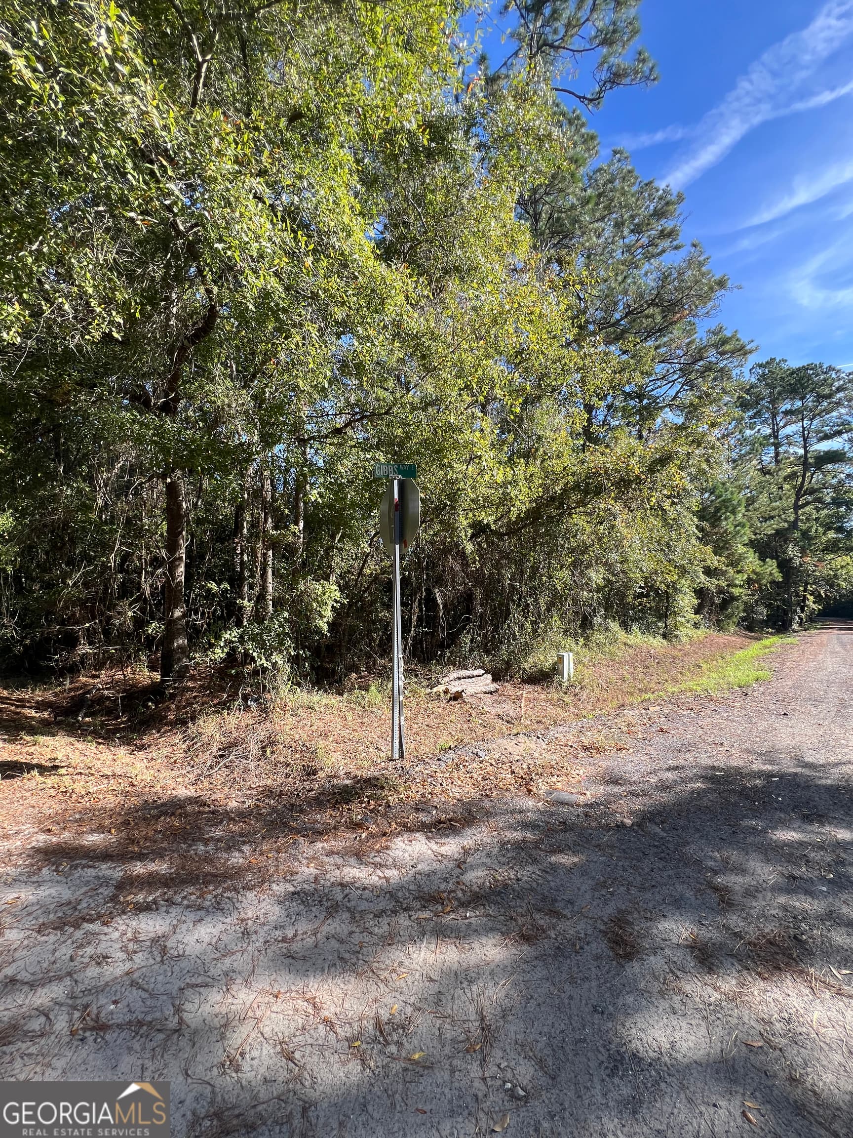 unimproved land for sale at 0 US Highway 17, Waverly, GA 31565 — photo 6